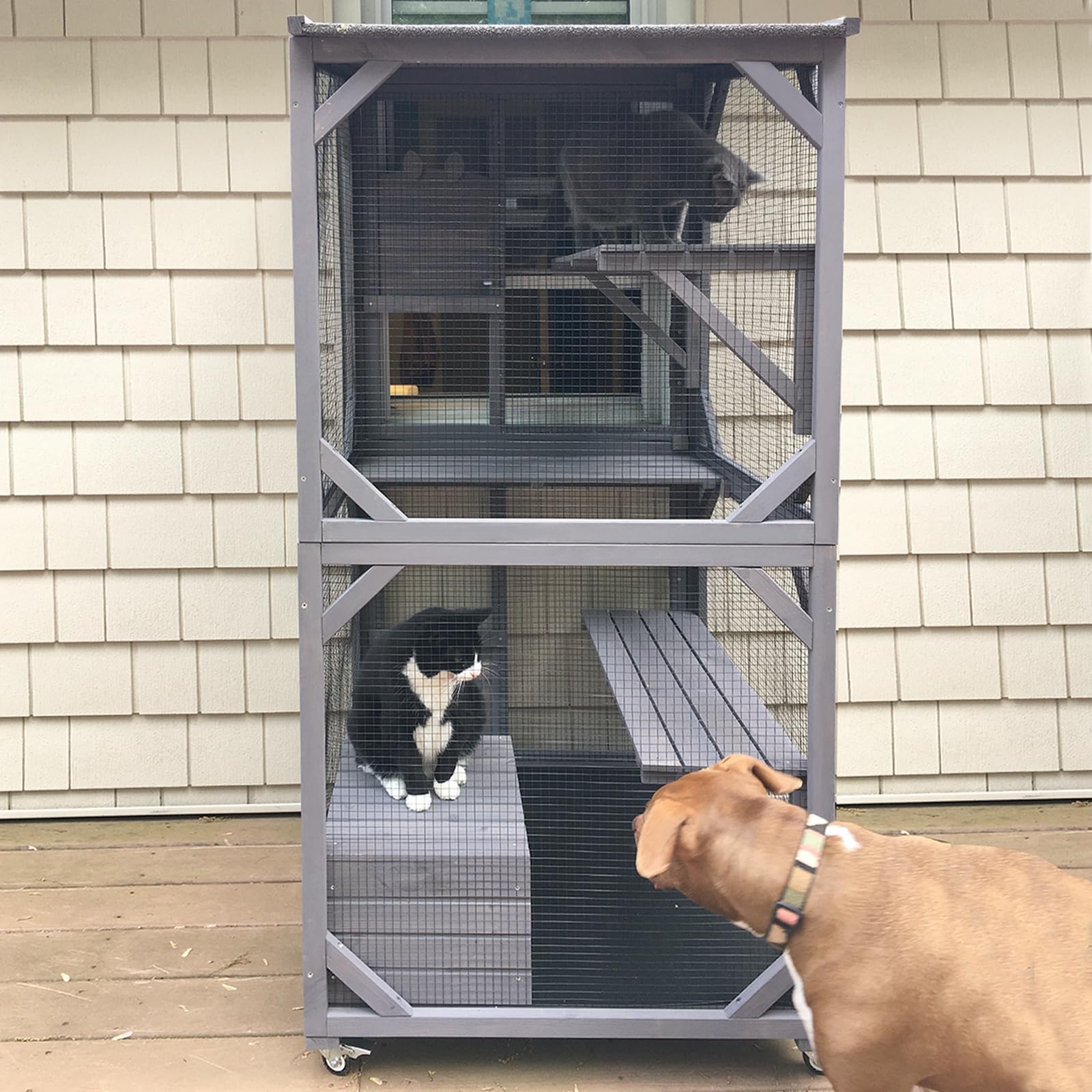 thumbnail video image 2 of Aivituvin Catio Outdoor Cat Enclosure with Wheels, Scratching Post, Resting Box and Waterproof Roof for Patio or Garden, 31.5"L x 31.5"W x 70.9"H, 2 of 8