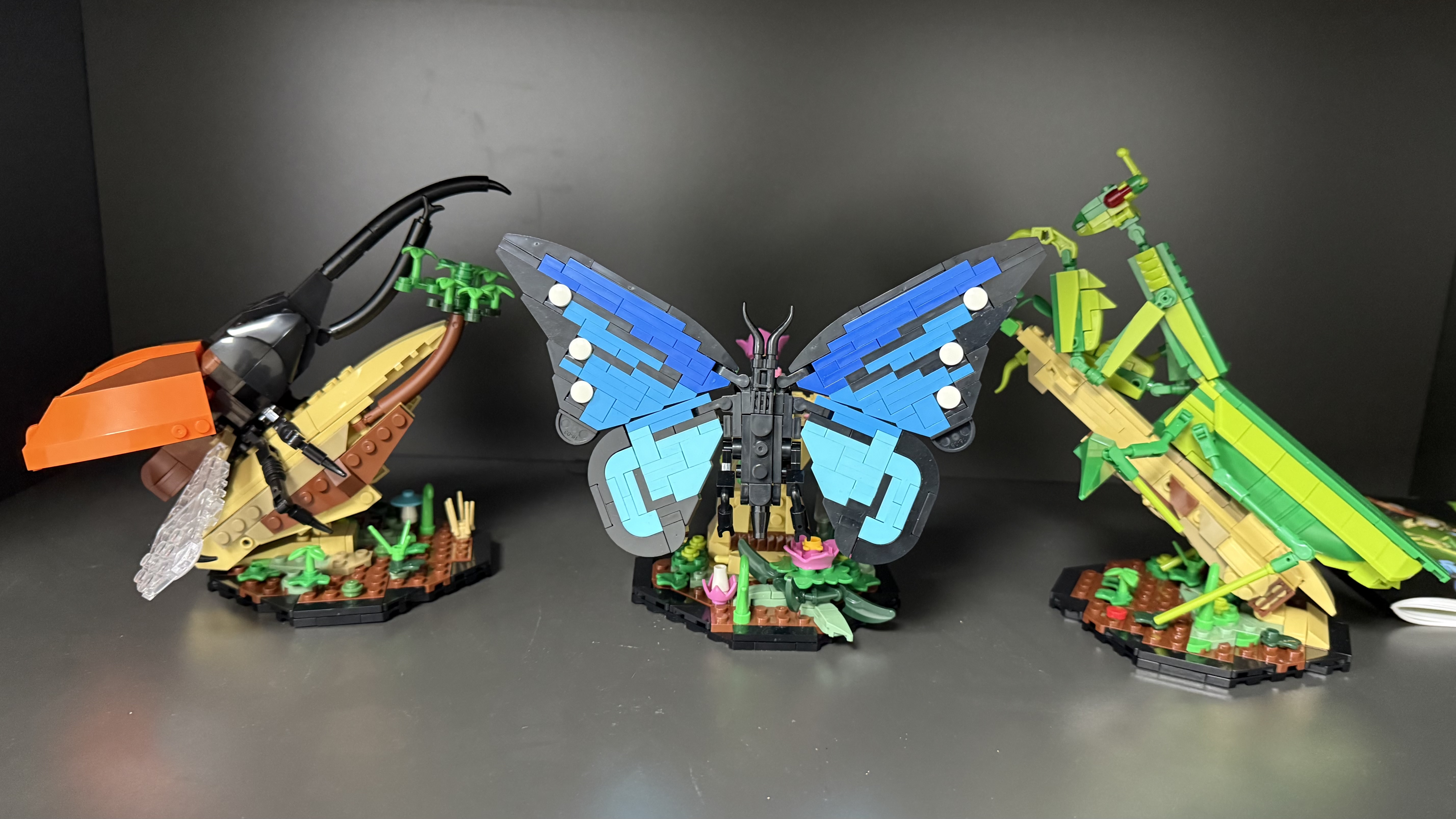 thumbnail video image 2 of OKKIDY 3-in-1 Insect Building Block Set Compatible with Lego, Butterfly, Mantis & Rhinoceros Beetle Model Kit, Nature Display Decor Toy, Birthday Gift for Adults & Kids Ages 6+, 2 of 8