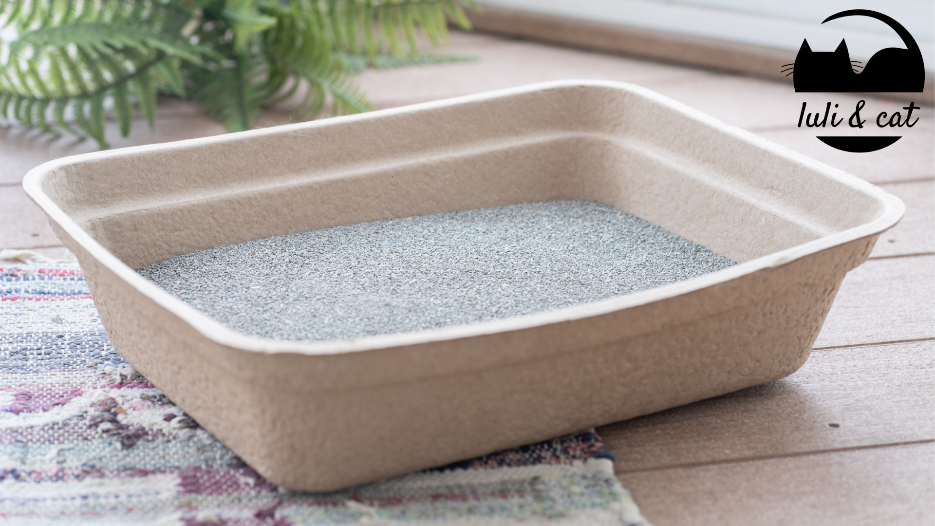 thumbnail video image 2 of Luli & Cat Disposable Litter Boxes | Large Sized 4-Pack | Dense and Sturdy, 2 of 8