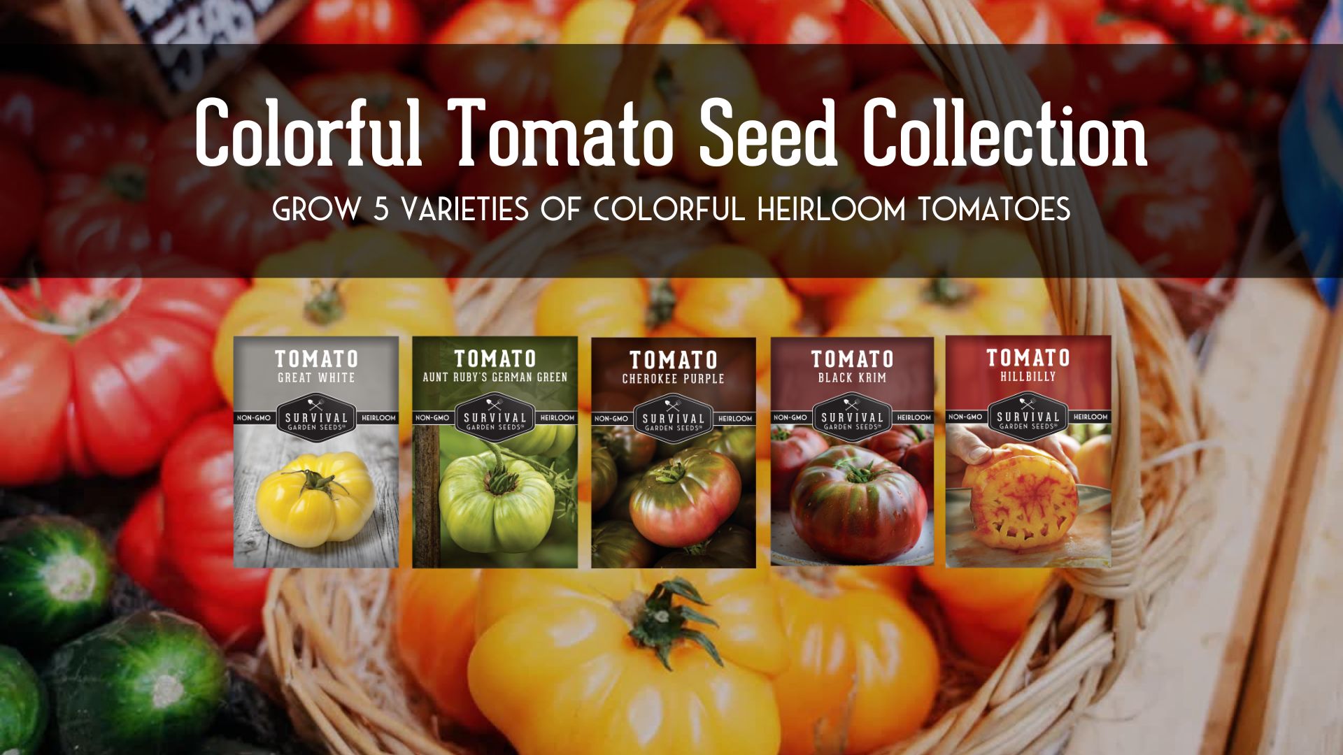 thumbnail video image 2 of Colorful Tomato 5 Pack - Black, White, Green, Red & Yellow, Purple - Full Sun Annual Vegetables, 2 of 9