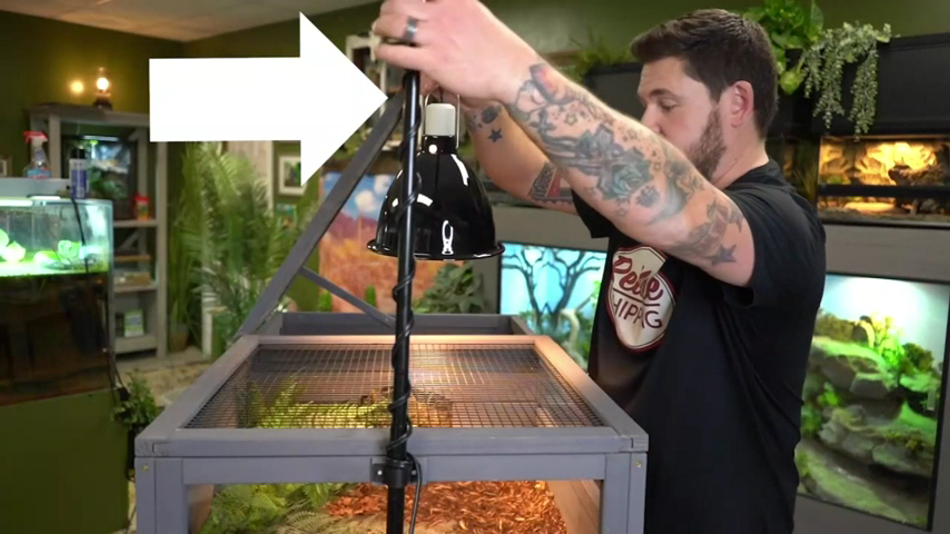 thumbnail video image 2 of Aivituvin Tortoise Habitat Turtle Enclosure, Wooden Reptile Cage for Small Animals, Adjustable Light Stand, 1 Set, 2 of 10