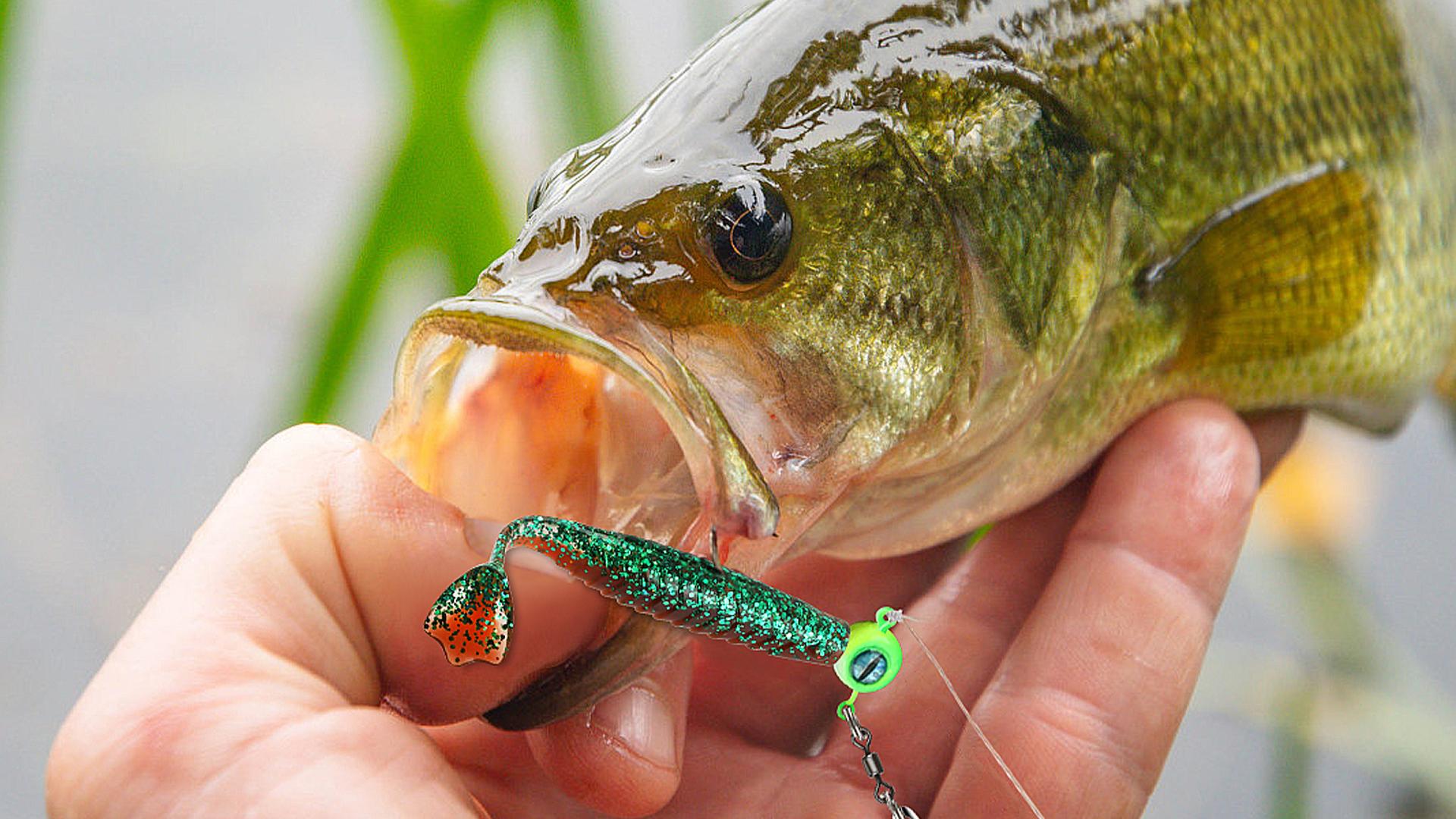 thumbnail video image 2 of Crappie Lures 1.7 inch Soft Plastic Baits Paddle Tail Swimbaits Bass Fishing Lures 75PCS, 2 of 9
