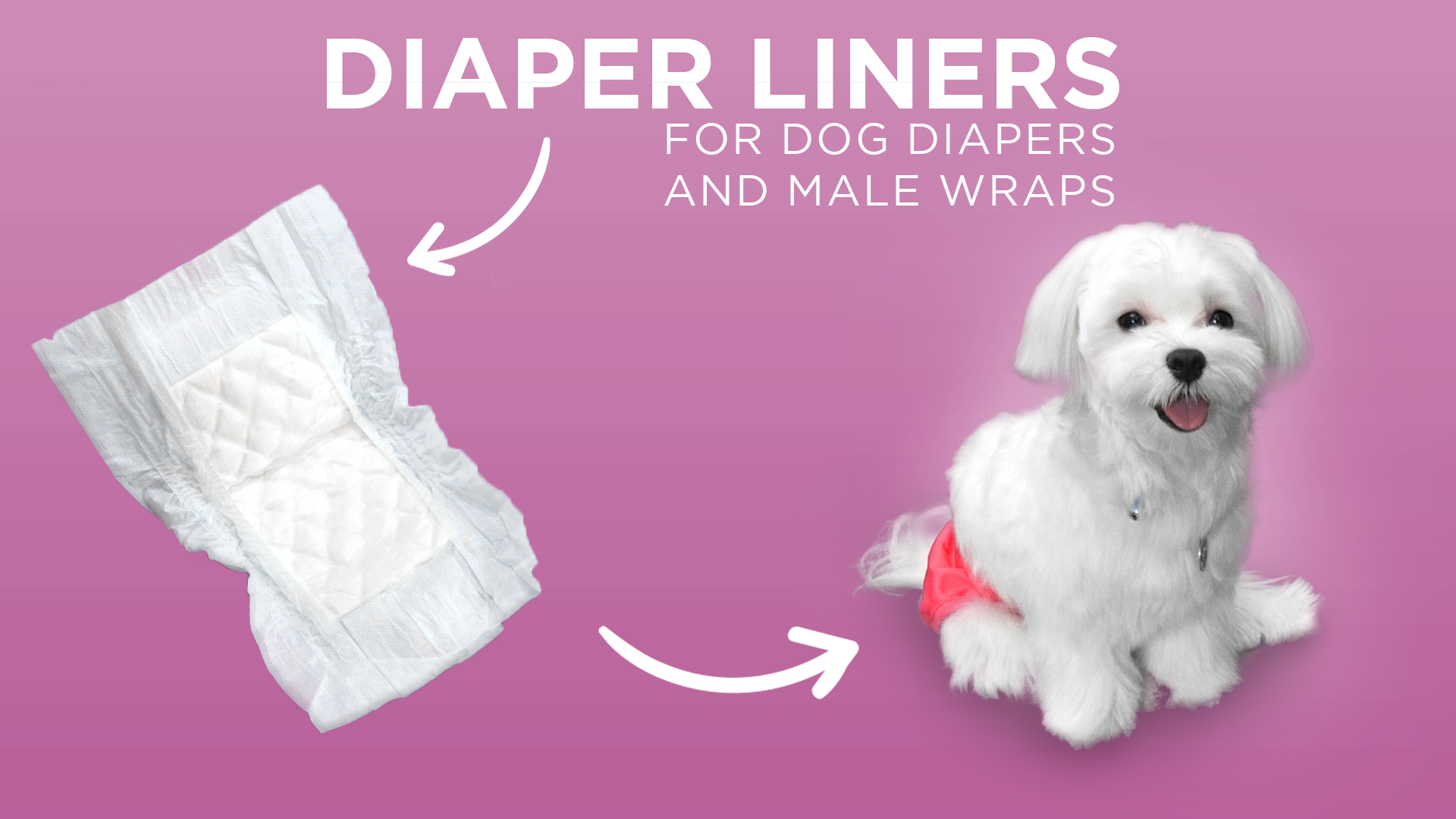 thumbnail video image 2 of 30ct Paw Inspired Dog Diaper Liner Booster Pads, Adds Absorbency with Leakproof Backing to Keep Dog Diapers and Male Wraps Dry, 2 of 7