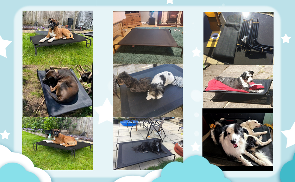 thumbnail video image 2 of XJD Elevated Outdoor Dog Bed - Raised Dog Bed for Large Dogs, Waterproof Dog Cot, Black, Medium, 2 of 14