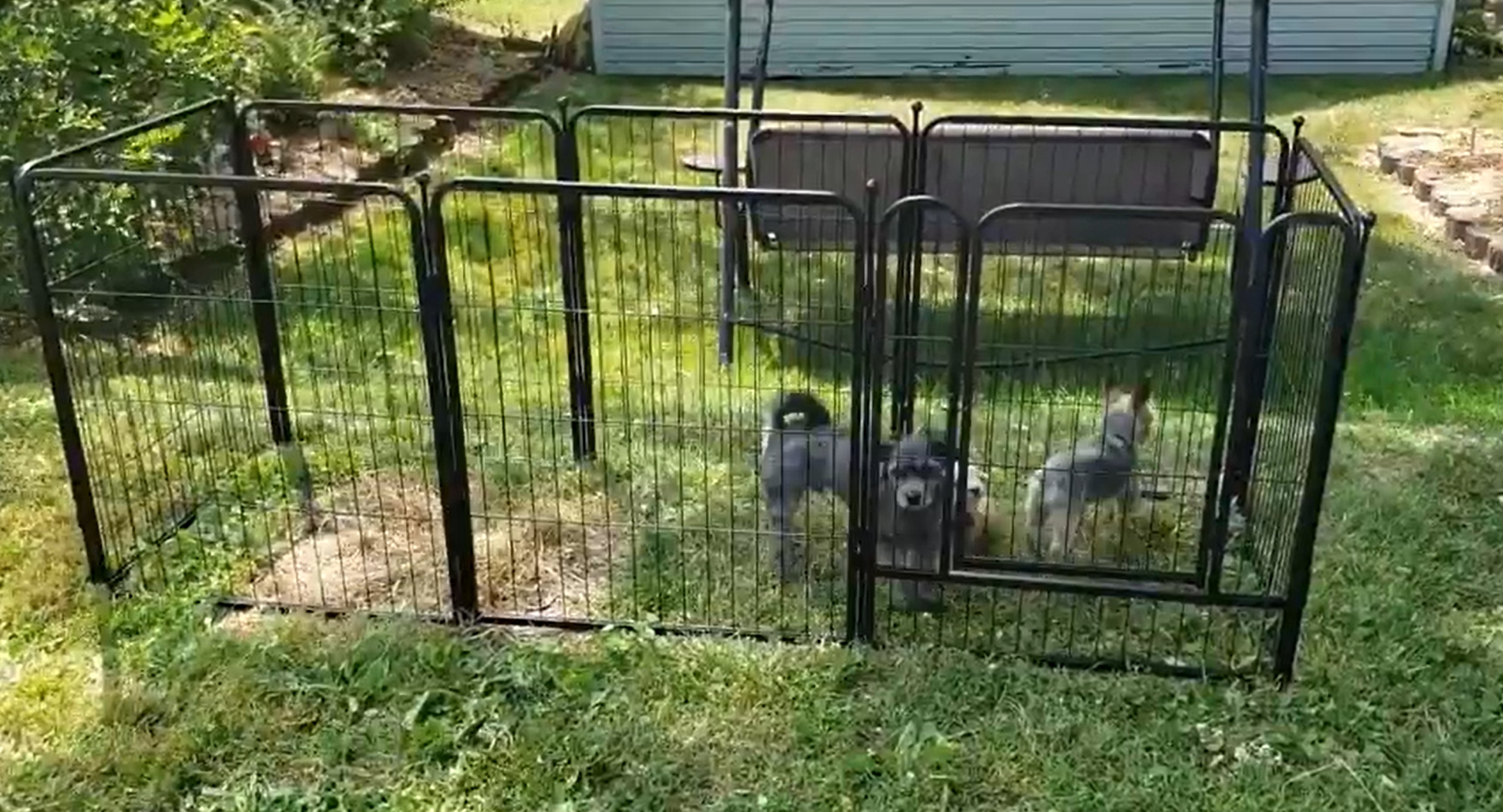 thumbnail video image 2 of FXW Garden Fence 24in(H) x 29.6ft(L), 16 Panels Decorative Dog Fence Outdoor for The Yard – Heavy Duty Metal Animal Barrier for Dog and Rabbit, Easy Setup, Black, 2 of 5