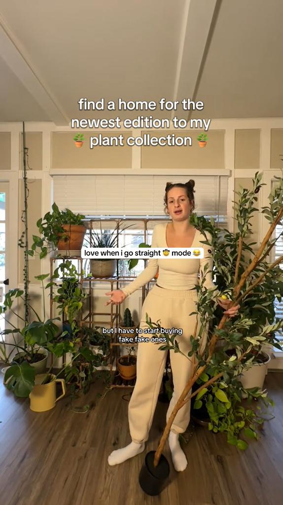 thumbnail video image 2 of 6 ft Artificial Olive Plants with Realistic Leaves and Natural Trunk, Silk Fake Olive Tree in Black Plastic Pot, Faux Olive Tree for Office Home, 2 of 9