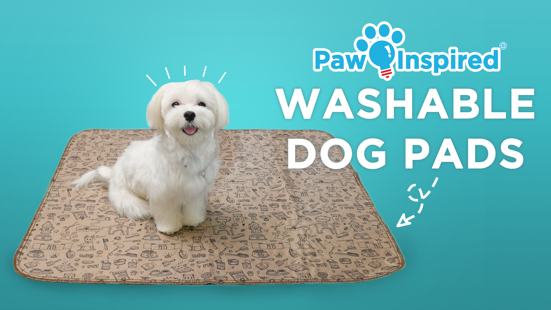 thumbnail video image 2 of 2ct Washable Dog Pee Pads, 32x30 inch Reusable Puppy Training Pads for Dogs, Waterproof Whelping Pads, Absorbent Washable Puppy Pads, Non-Slip, 2 of 7