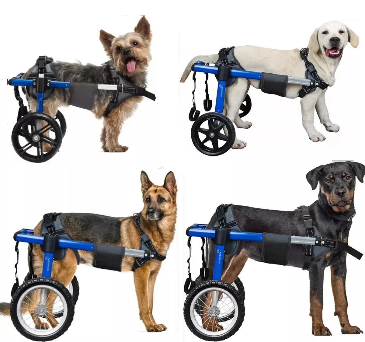 thumbnail video image 2 of Virbraroo Dog Wheelchair for Back Legs,2-Wheel with All-Terrain Tires & Durable Bearings for Large Dogs, 2 of 11