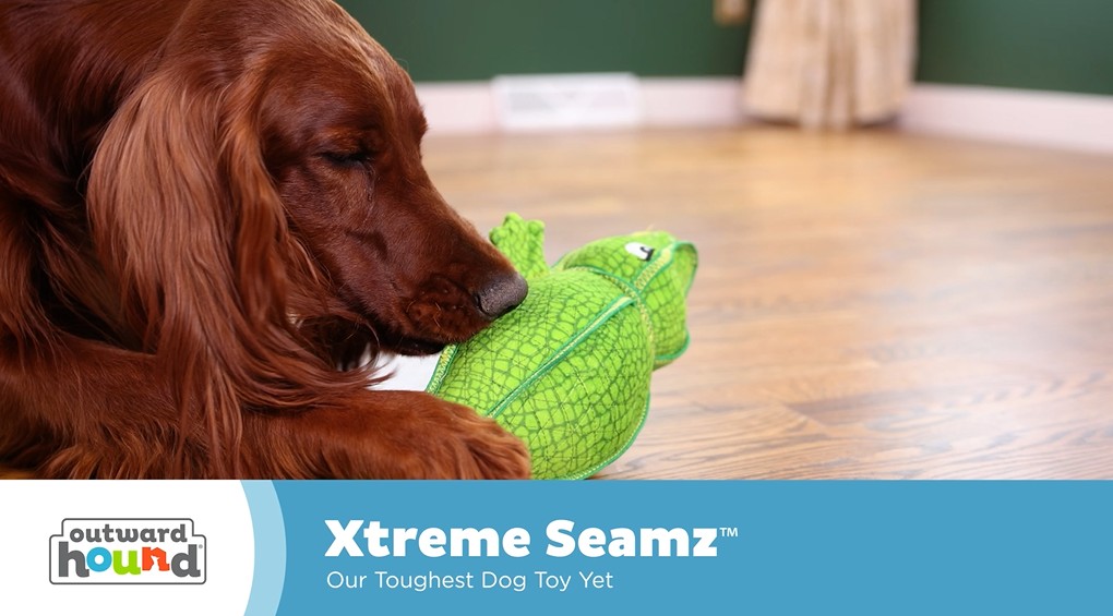 thumbnail video image 2 of Outward Hound Xtreme Seamz Alligator Squeaky Dog Toy - Reinforced Dense Stuffing Plush Toy, 2 of 6