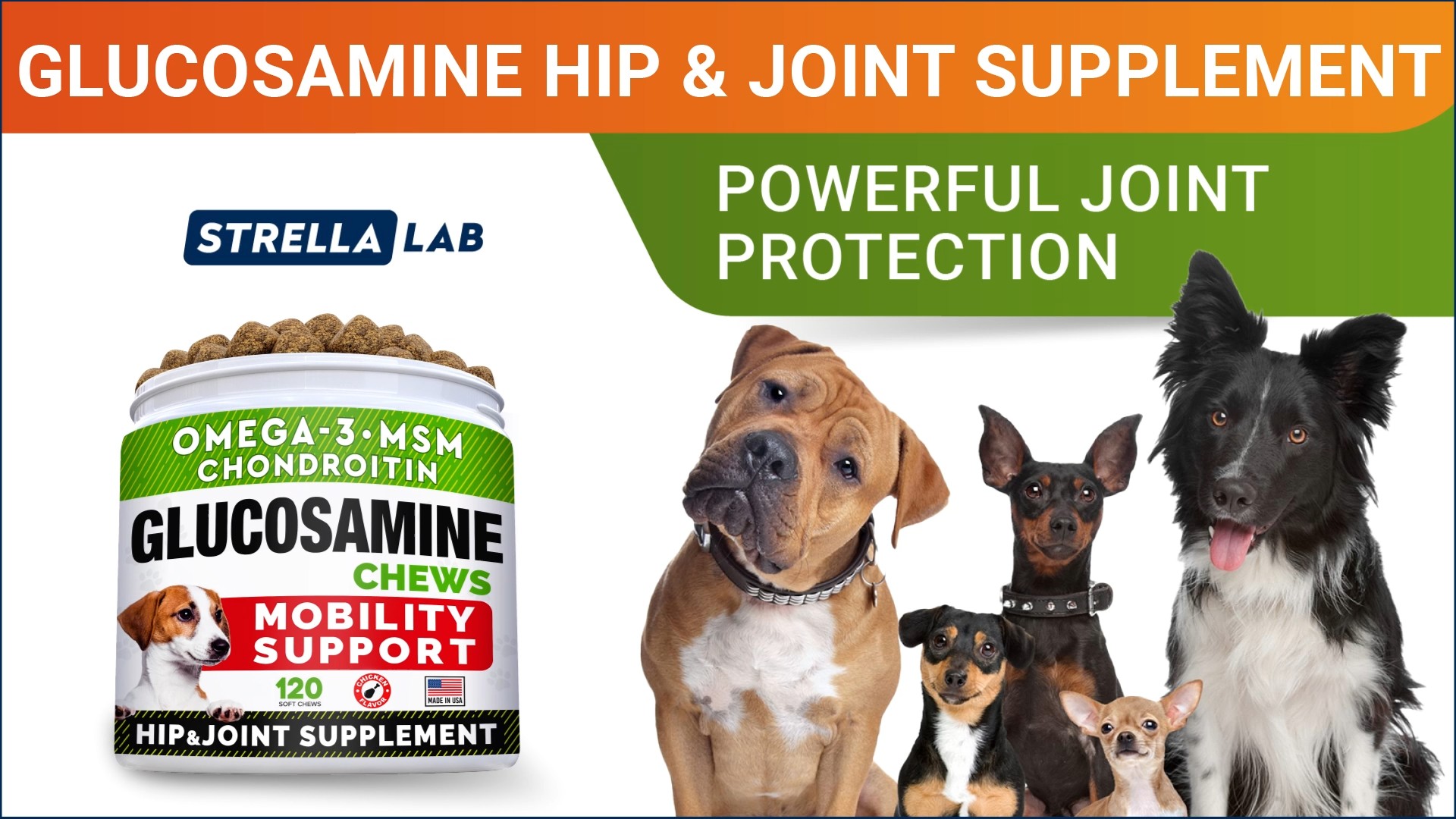 thumbnail video image 2 of STRELLALAB Glucosamine Chews for Dogs - Hip and Joint Chews for Dogs with Chondroitin, MSM & Omega-3 Fish Oil - Dog Supplement for Joint Pain Relief - Bacon Flavor - 120 Count - made in USA, 2 of 8