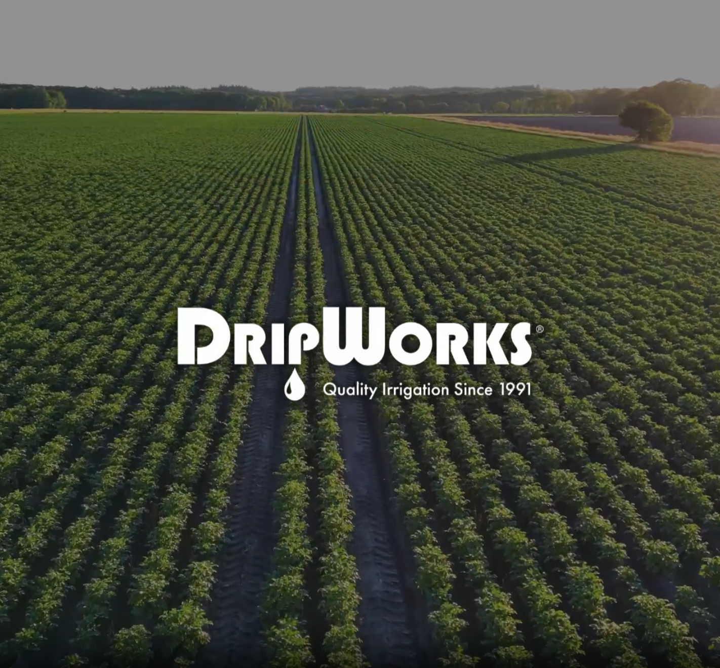 thumbnail video image 2 of DripWorks Drip Irrigation Conversion Kit with 8-Way Sprinkler, 2 of 2