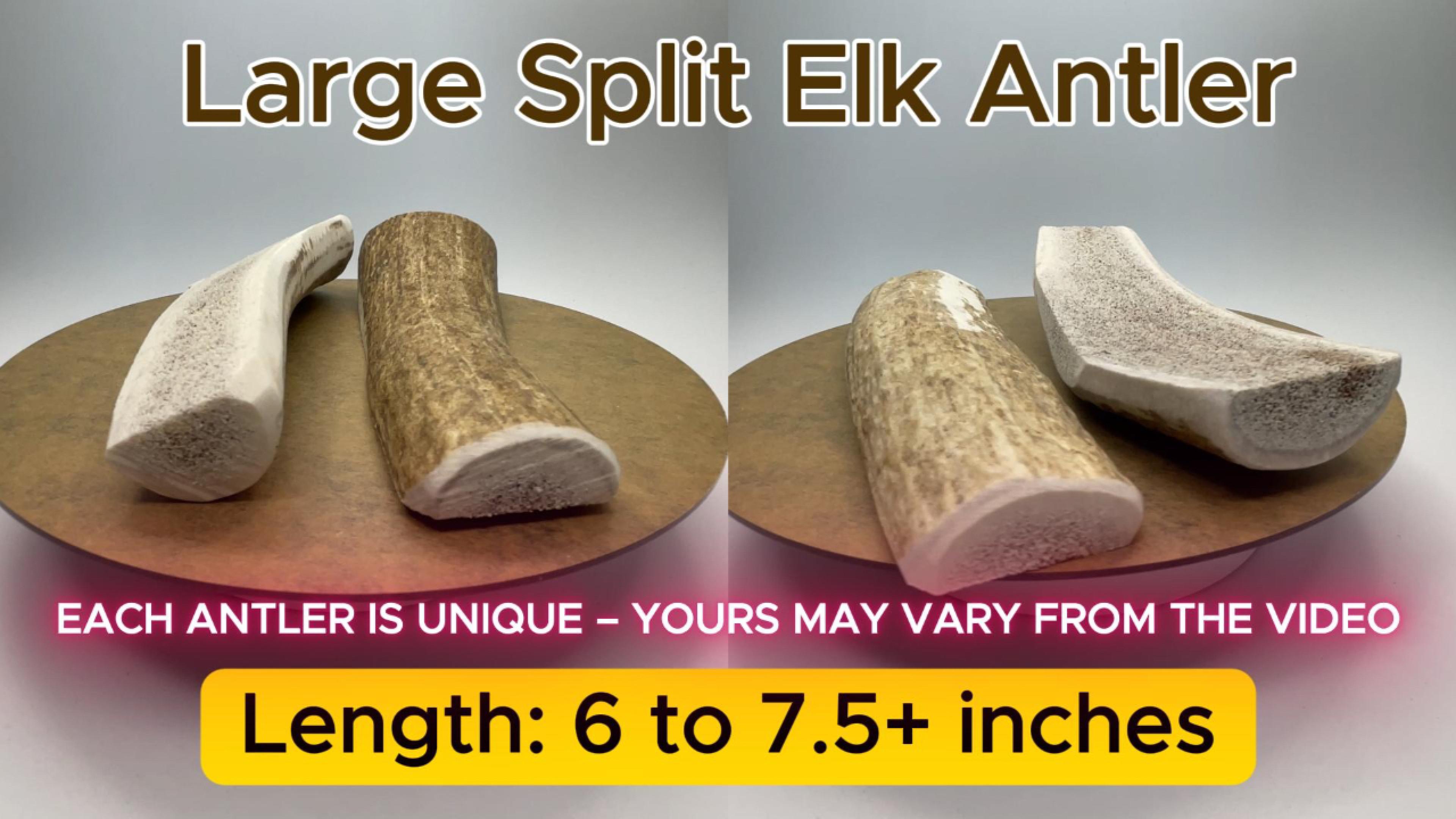 thumbnail video image 2 of Deluxe Naturals 2-Pack Large Split Elk Antler Dog Chews, Naturally Shed A-Grade Elk Antler Treat for Small and Medium Dogs, 2 of 11