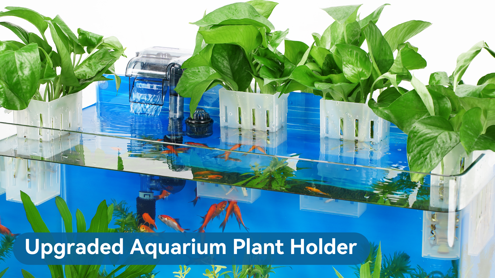 thumbnail video image 2 of Upgraded Aquarium Plant Holder with Hooks and Suction Cups for Fish Tank Aquaponic Plant Cultivation and Aquascape Decorations (Semitransparent), 2 of 10