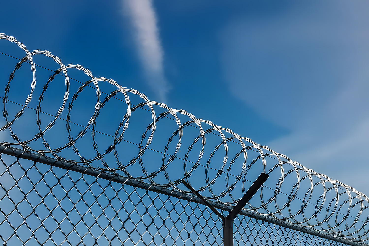 thumbnail video image 2 of 325 Ft Barbed Wire, 1 Rolls Razor Wire Fencing, Galvanized Garden Wire,Waterproof And Antirust Small Fencing, Durable Barbwire, Concertina Wire For Garden Farm Manor [Single Wire], 2 of 8