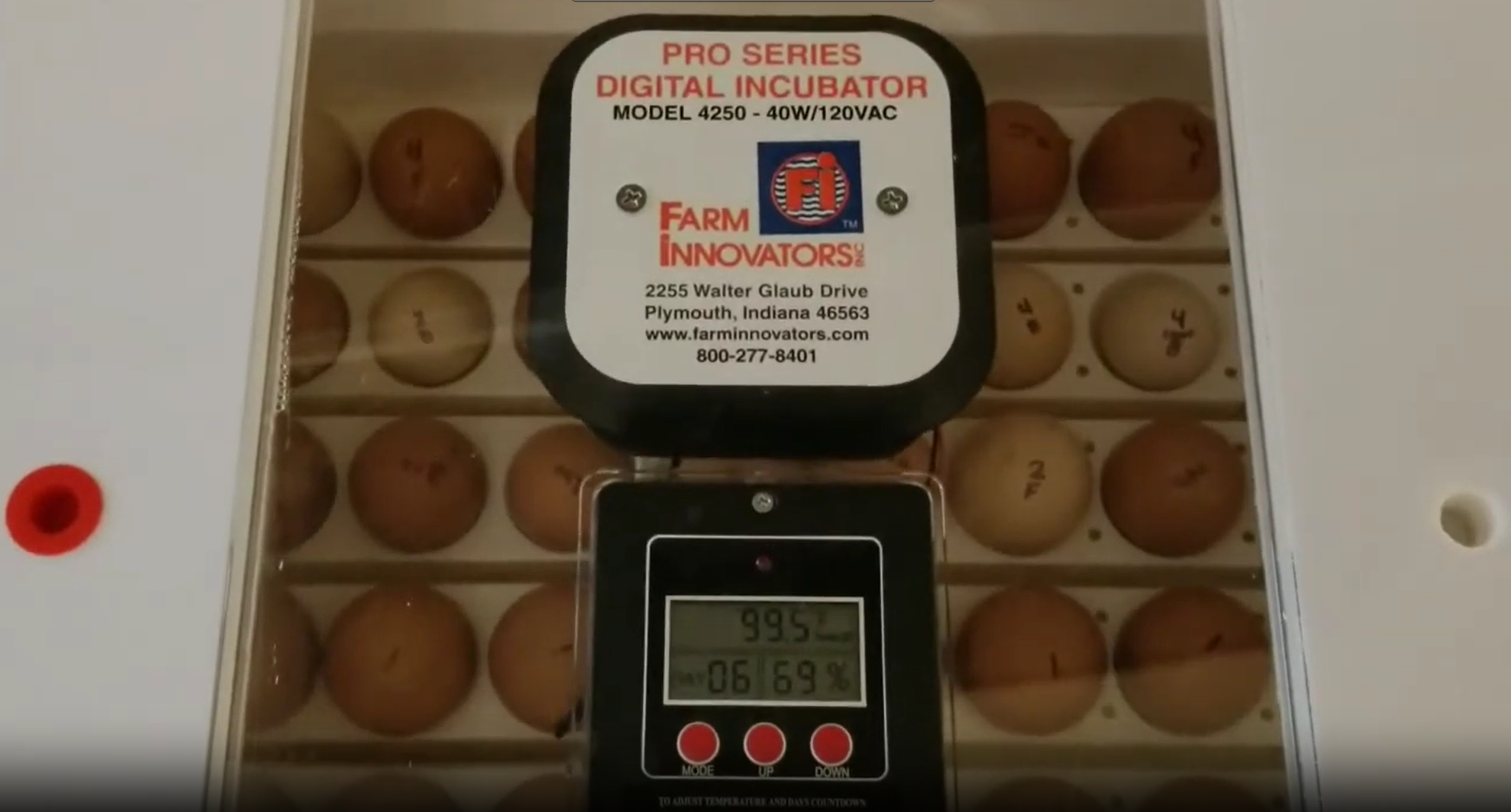 thumbnail video image 2 of Farm Innovators Circulated Air Incubator w/ Egg Turner, White (2 Pack), 2 of 9