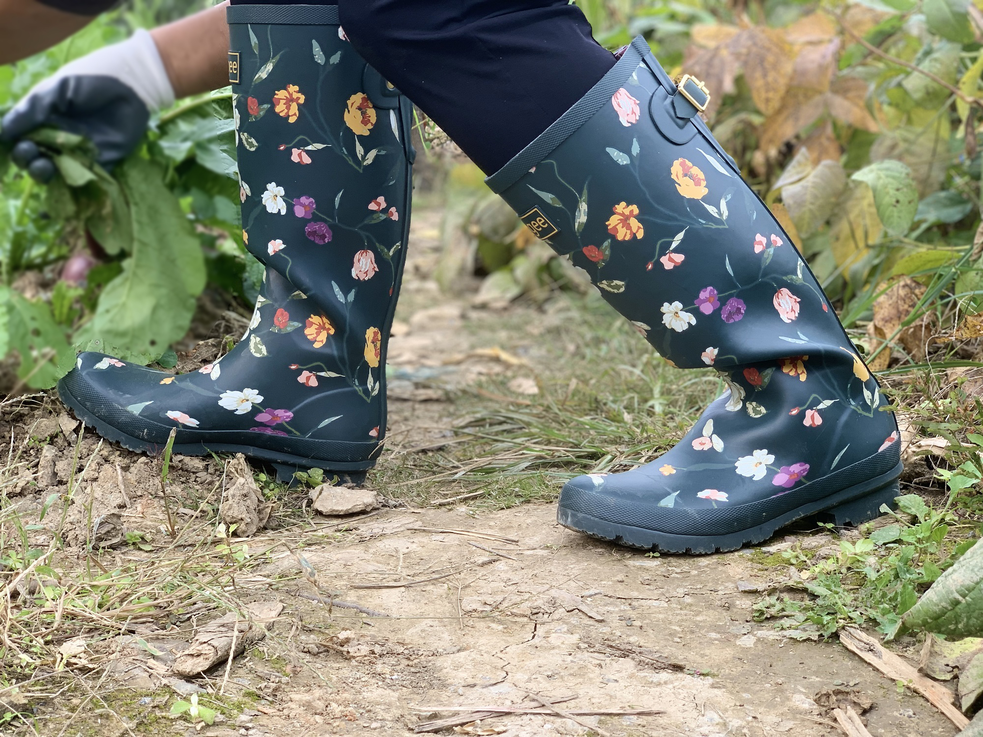 thumbnail video image 2 of Rongee Women Rain Boots Tall Waterproof Outdoor Garden Boots Blossom Flower Printed with Adjustable Buckle (9(M) US), 2 of 8