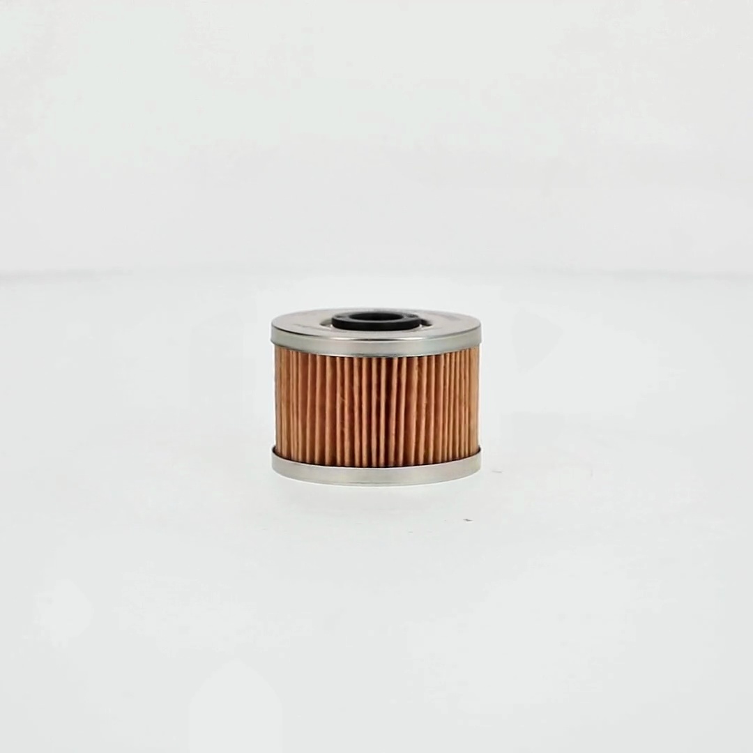 2 pack) FRAM Motorcycle/ATV Oil Filter, CH6015 for select Honda