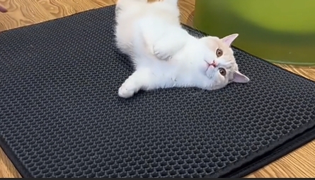 thumbnail video image 2 of HCY&WLD Cat Litter Mat, 45"x26" Extra Large&Long Waterproof Double Layer Honeycomb Litter Trapping Mats, Easy to Clean, Less Waste (45"x26", Gray), 2 of 9