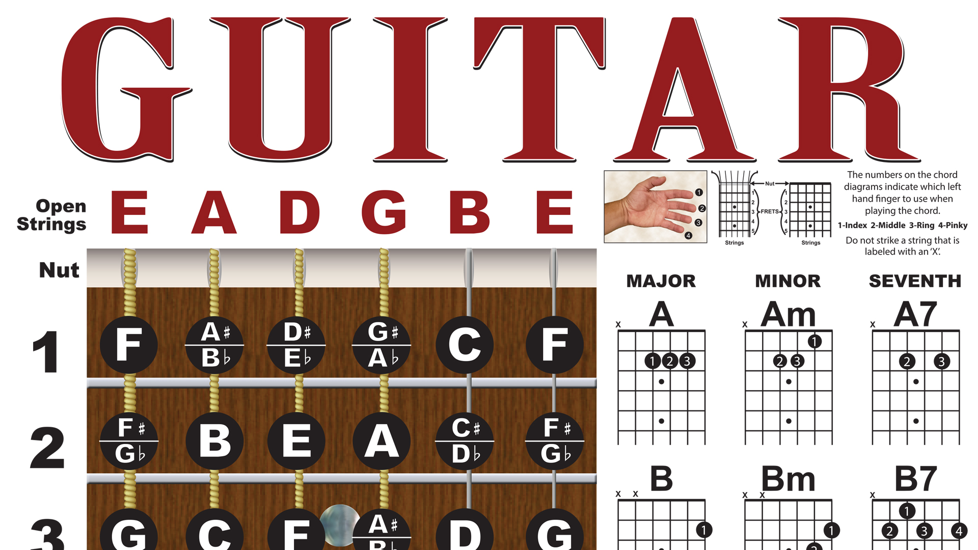 thumbnail video image 2 of Laminated Guitar Chord Fretboard and Note Chart, 11"x17", 2 of 9