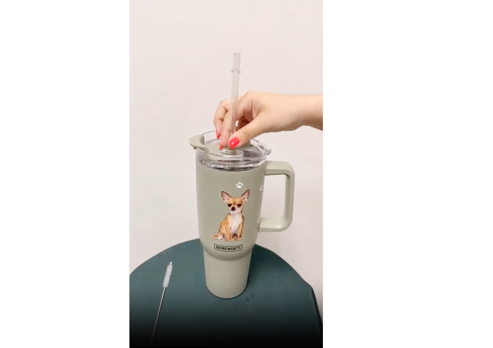 thumbnail video image 2 of SERENGETI Australian Shepherd 40 Oz Stainless Steel Tumbler with Handle and Straw for Pet Lovers, 2 of 8