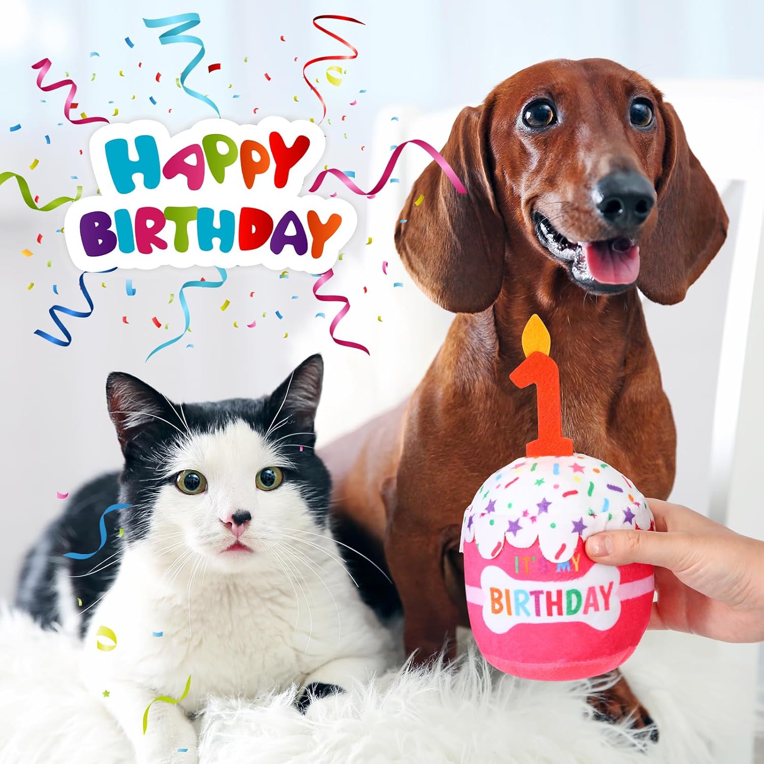 thumbnail video image 2 of Dog Birthday Cake Toy Accessories for Girl Boy Gifts, OEIKPFN Squeaky Plush Toy for Dog Birthday Party Decor Favor for Large, Medium and Small Dogs (1st,Blue), 2 of 7