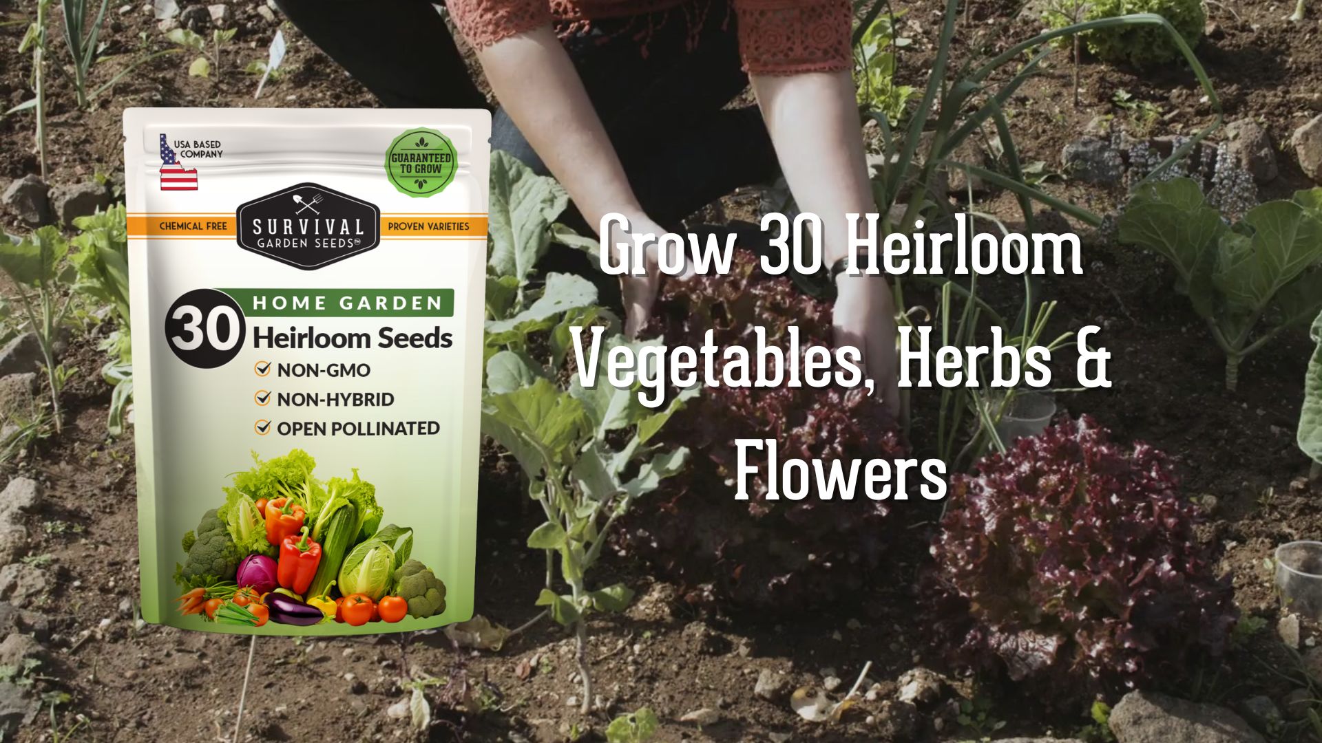 thumbnail video image 2 of 30 Home Garden Seed Collection - Variety Pack with Full Sun Annual Heirloom Non-GMO Vegetables, 2 of 8