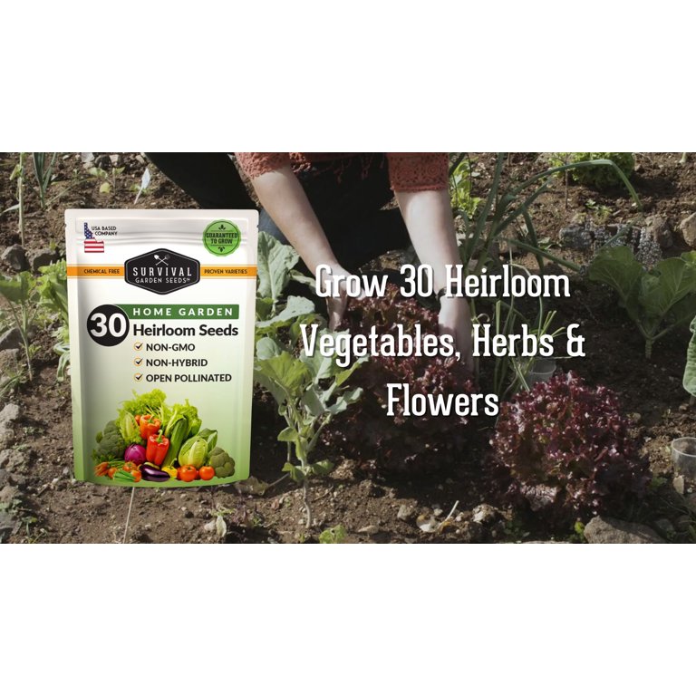30 Home Garden Seed Collection, Full Sun Vegetables & Herbs - Walmart.com