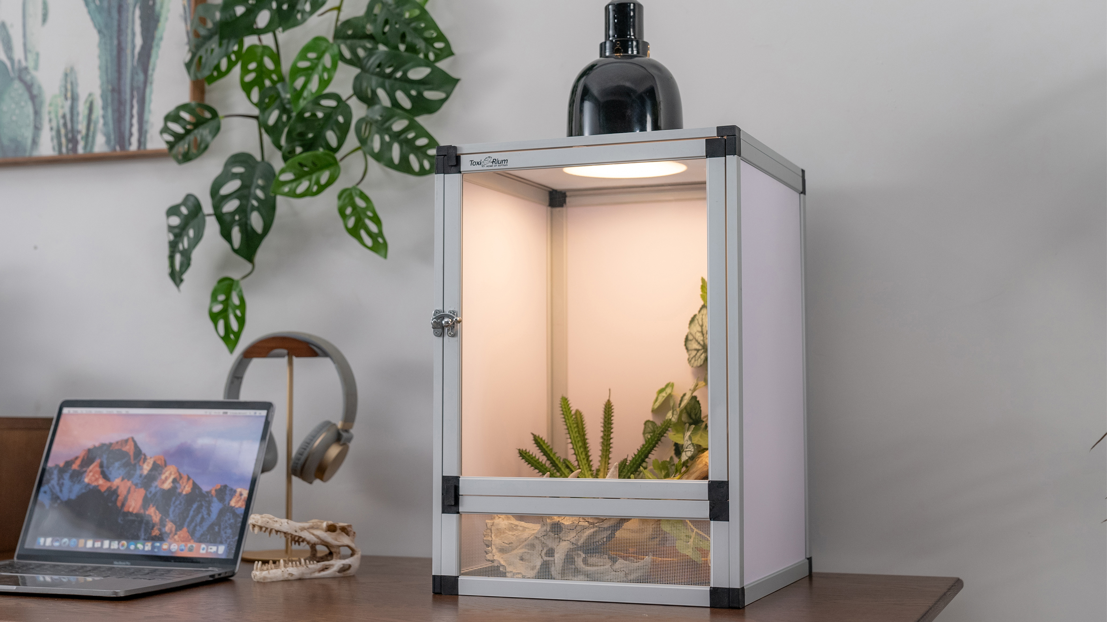 Toxirium, Reptile Habitat, 8x8x12 inch, Hybrid PVC with Doors - Walmart.com