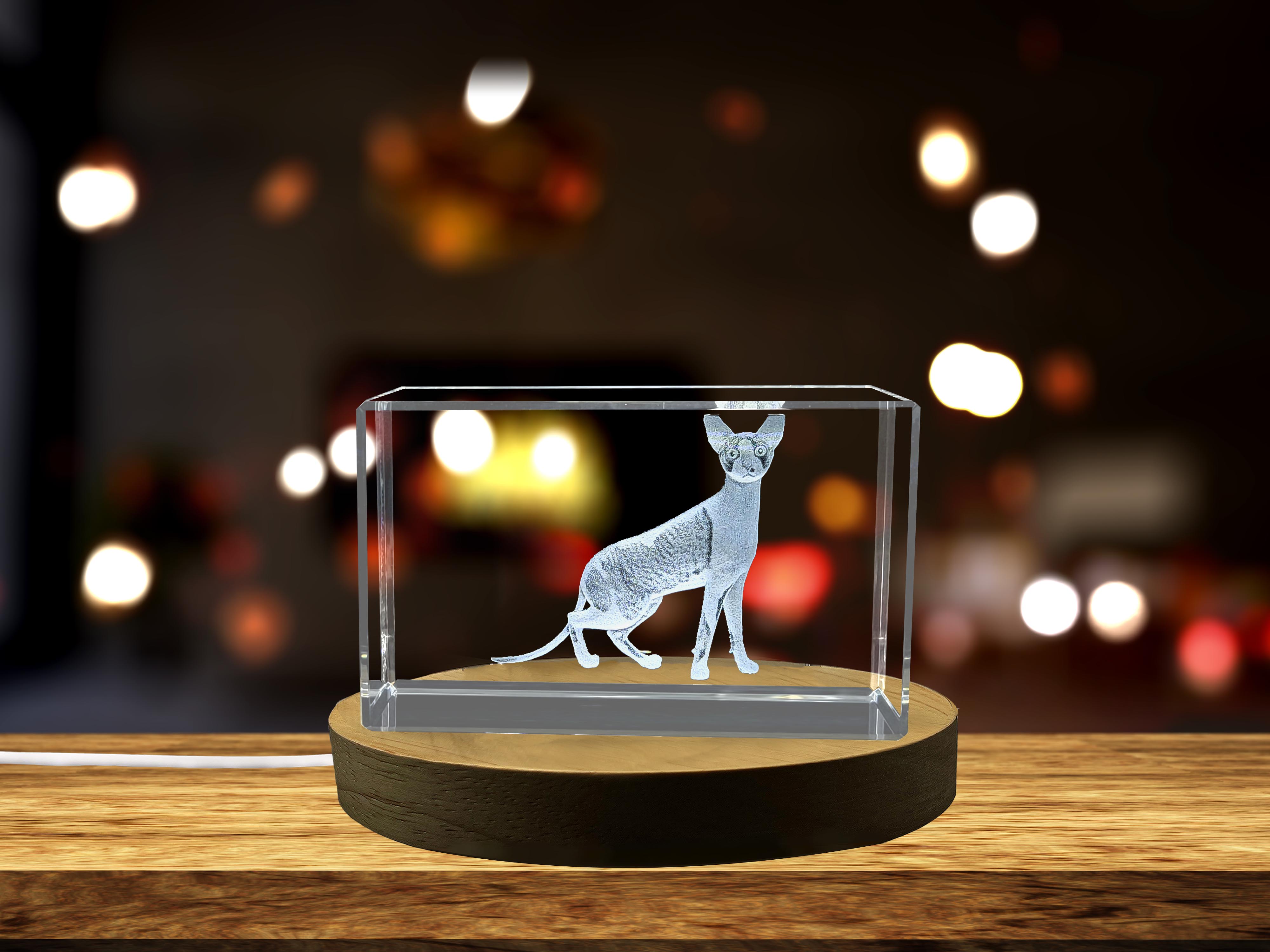 thumbnail video image 2 of Unique Cornish Rex Cat 3D Engraved Crystal Gift for Cat Lovers, 2 of 7