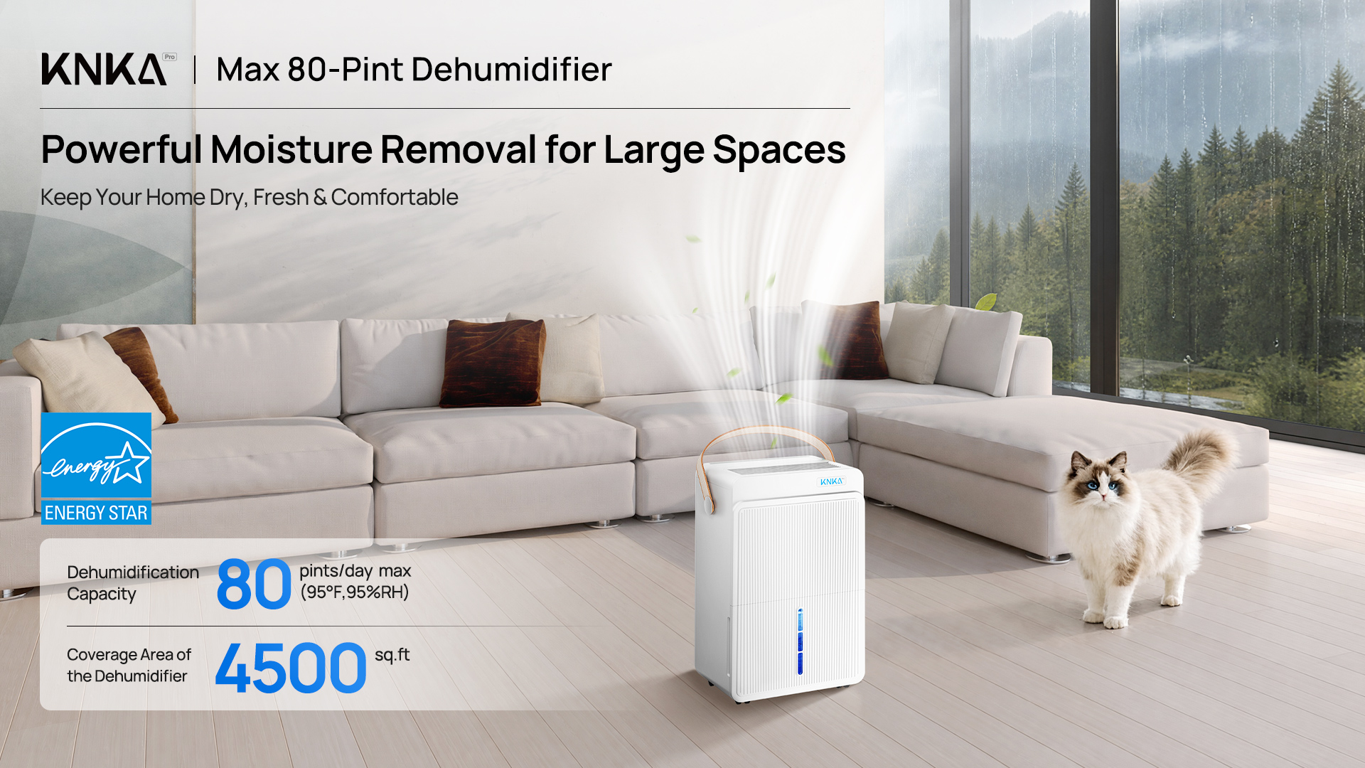 thumbnail video image 2 of Dehumidifier for Basements and Large Rooms, MAX 80 Pints, Up to 4500 Sq.Ft, Dehumidifiers for Home with Drain Hose, Intelligent Humidity Control, Dual Timer(at 95°F, 90% RH), 2 of 12