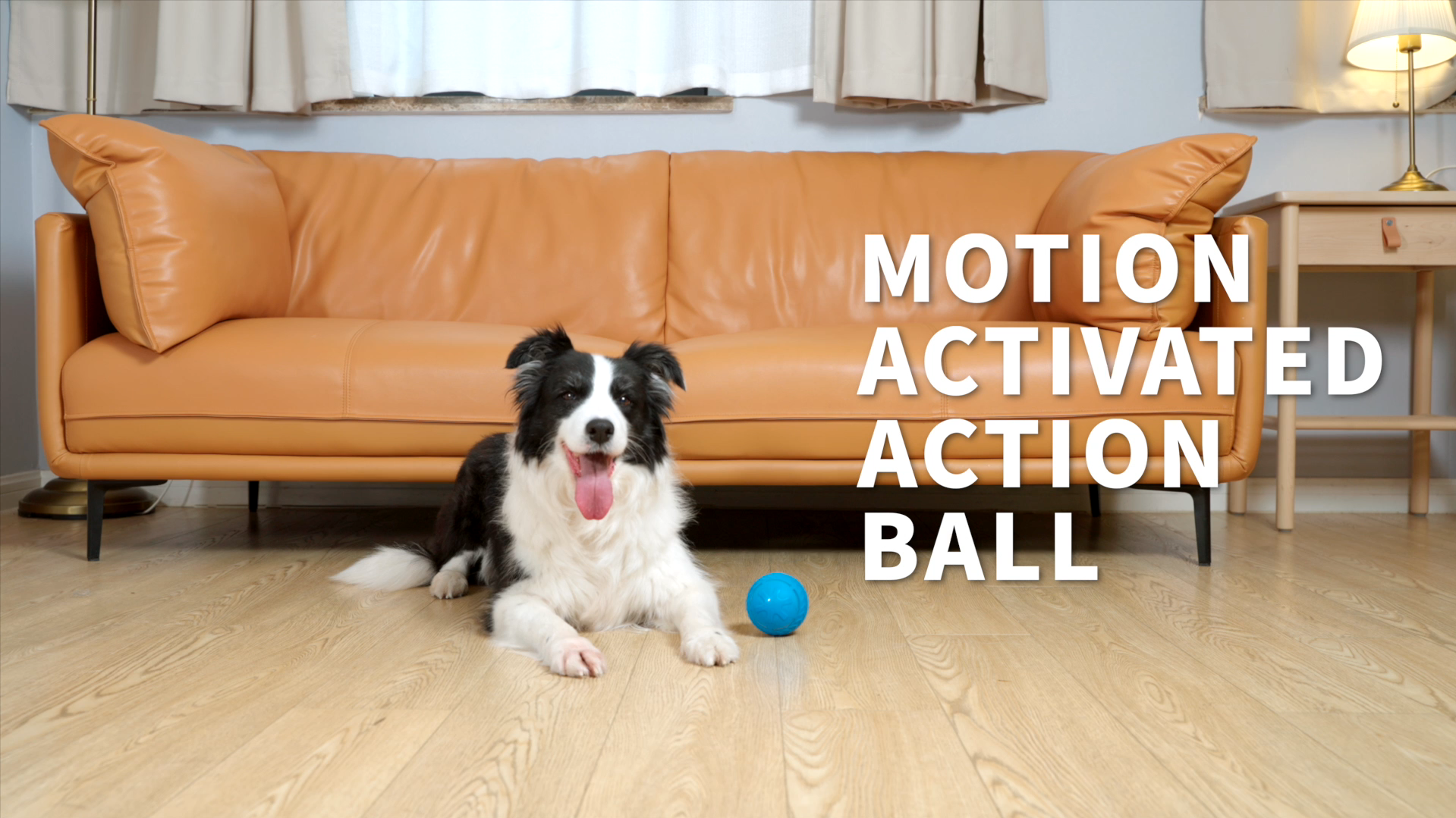 thumbnail video image 2 of All for Paws Interactive Moving Ball Toy for Dogs, Motion Activated LED Bouncing Dog Ball Toy, USB Rechargeable, 2 of 8