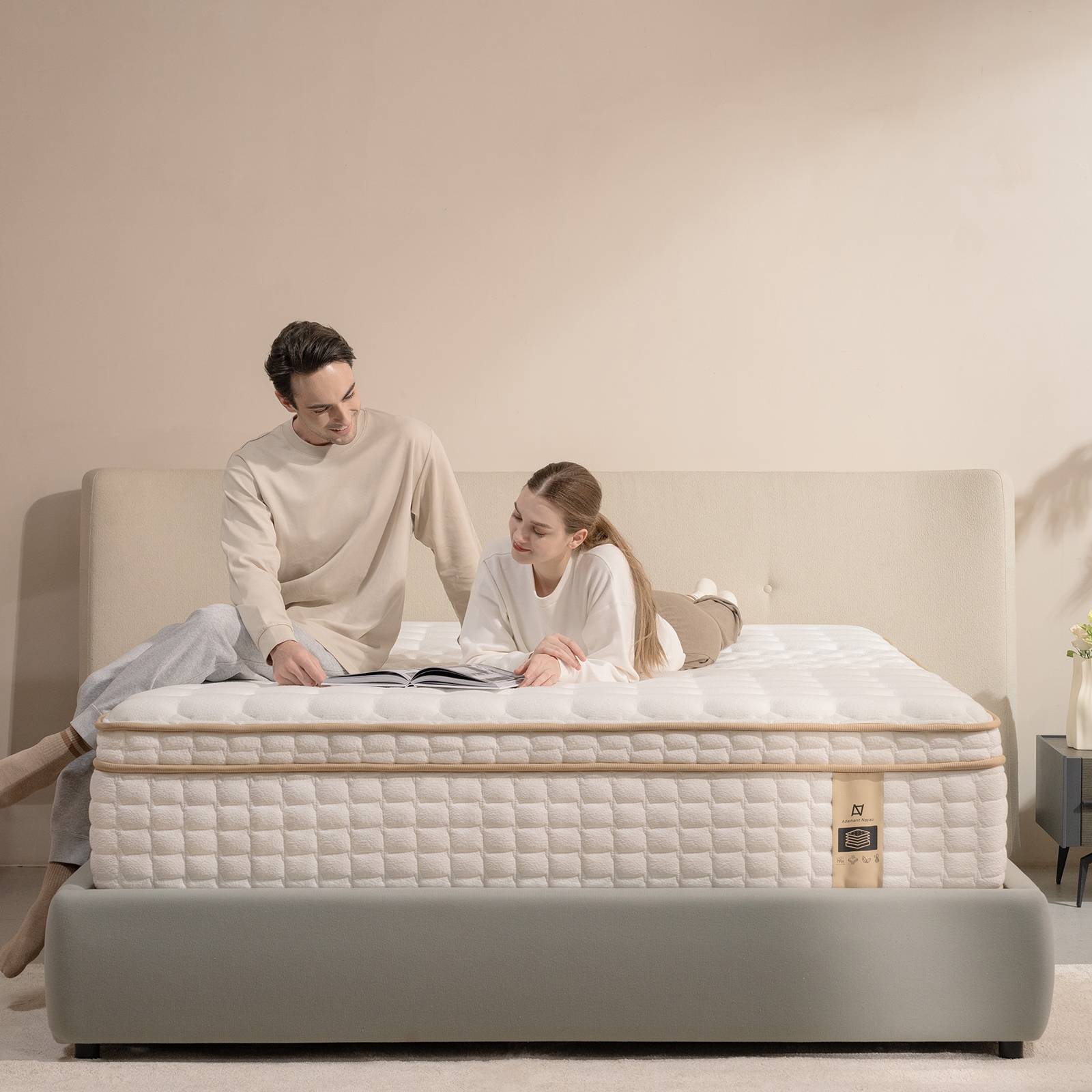 IDEK Furniture Adult 12 Inch Mattress-in-a-Box Queen Medium Euro Top ...