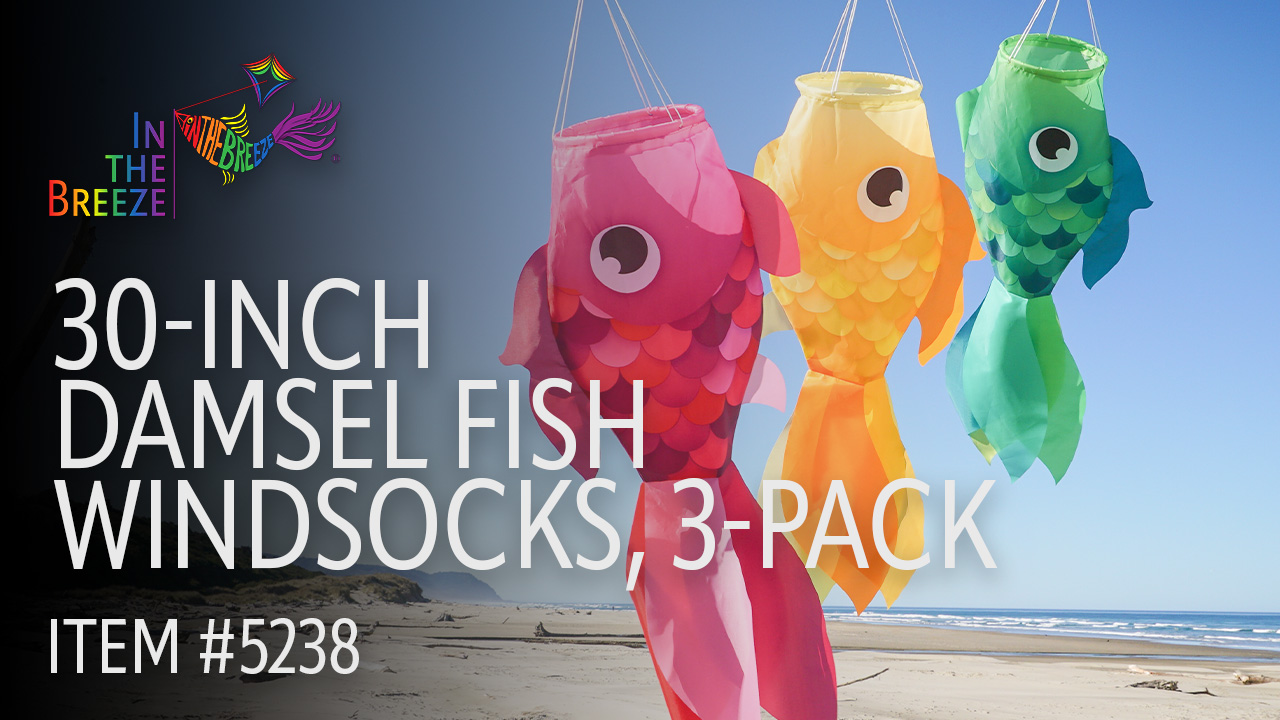 thumbnail video image 2 of In the Breeze 5238 — 30-inch Damsel Fish Windsock 3-Pack — Multi Pack of Large and Colorful Fishsocks with Printed Designs, 2 of 5