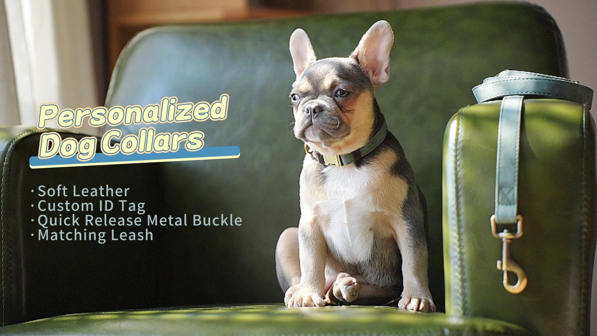 thumbnail video image 2 of Pet Artist Personalized Dog Collar Leather Custom Name Number Engraved Brass Buckle for Small Medium Large Dogs, 2 of 6