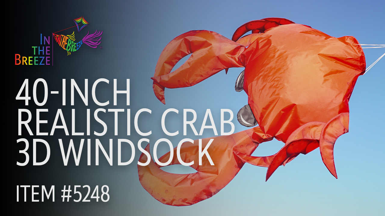 thumbnail video image 2 of In the Breeze 5248 — 40-inch Realistic Crab 3D Windsock — Realistic Sea Life Windsock for Homes, Gardens, Restaurants, 2 of 6