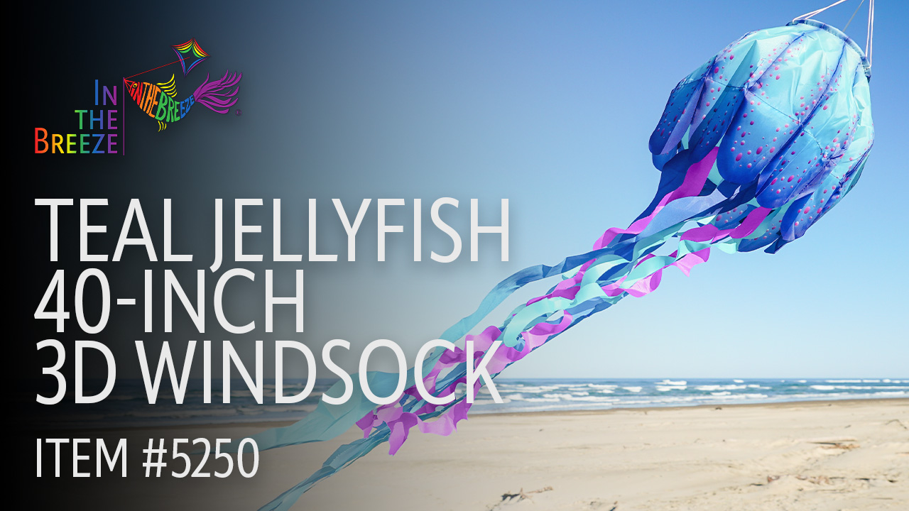 thumbnail video image 2 of In the Breeze 5250 — 40-inch Blue Jellyfish 3D Windsock — Fully Printed Windsock with Inflatable Head and Free-Flowing Tentacles, 2 of 6