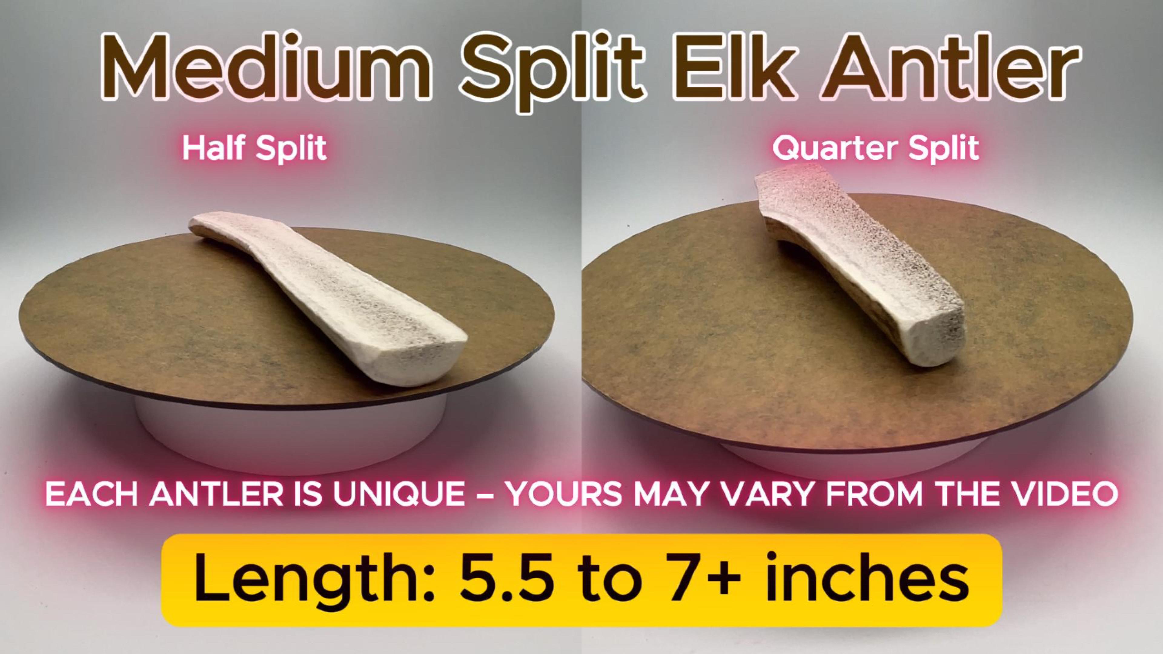thumbnail video image 2 of Deluxe Naturals 4-Pack Medium Split Elk Antler Dog Chews, Naturally Shed A-Grade Elk Antler Treat for Small and Tiny Dogs, 2 of 10