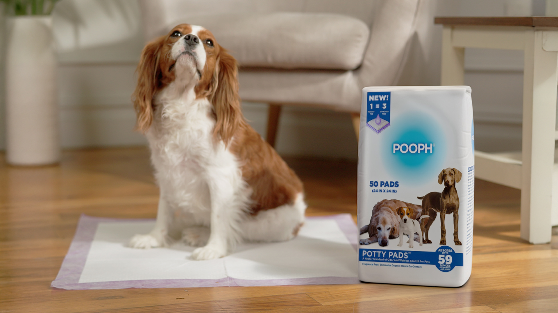 thumbnail video image 2 of (2 pack) Pooph Potty Pads, 25 Count, Fragrance-Free, No Harsh Chemicals, 2 of 8