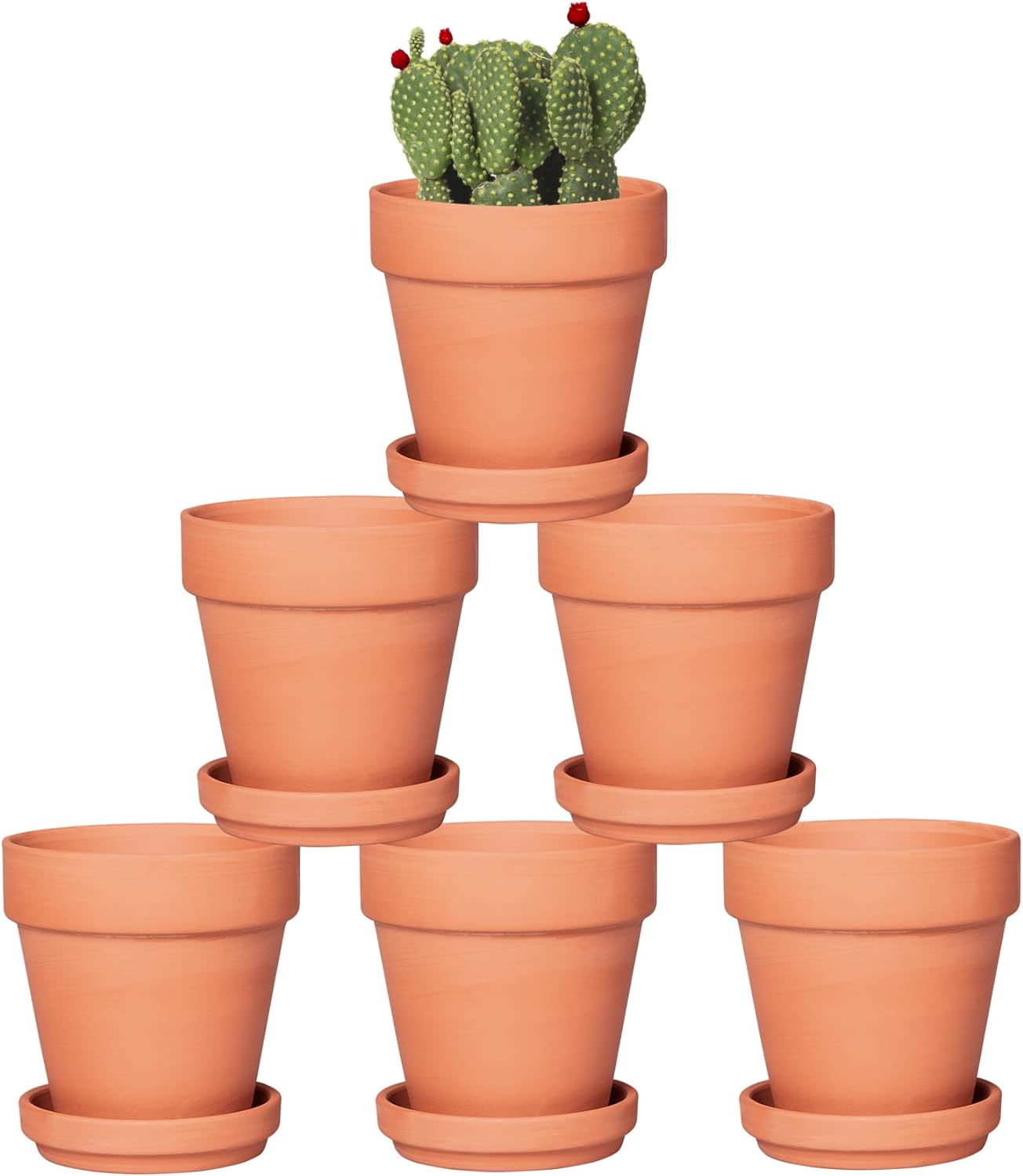 thumbnail video image 2 of 6 Pack 4 inch Terracotta Pots with Saucers for Succulents, Clay Flower Planters with Drainage Holes for Indoor, Outdoor Plants, Cactus, Arts and Crafts Projects, 2 of 6