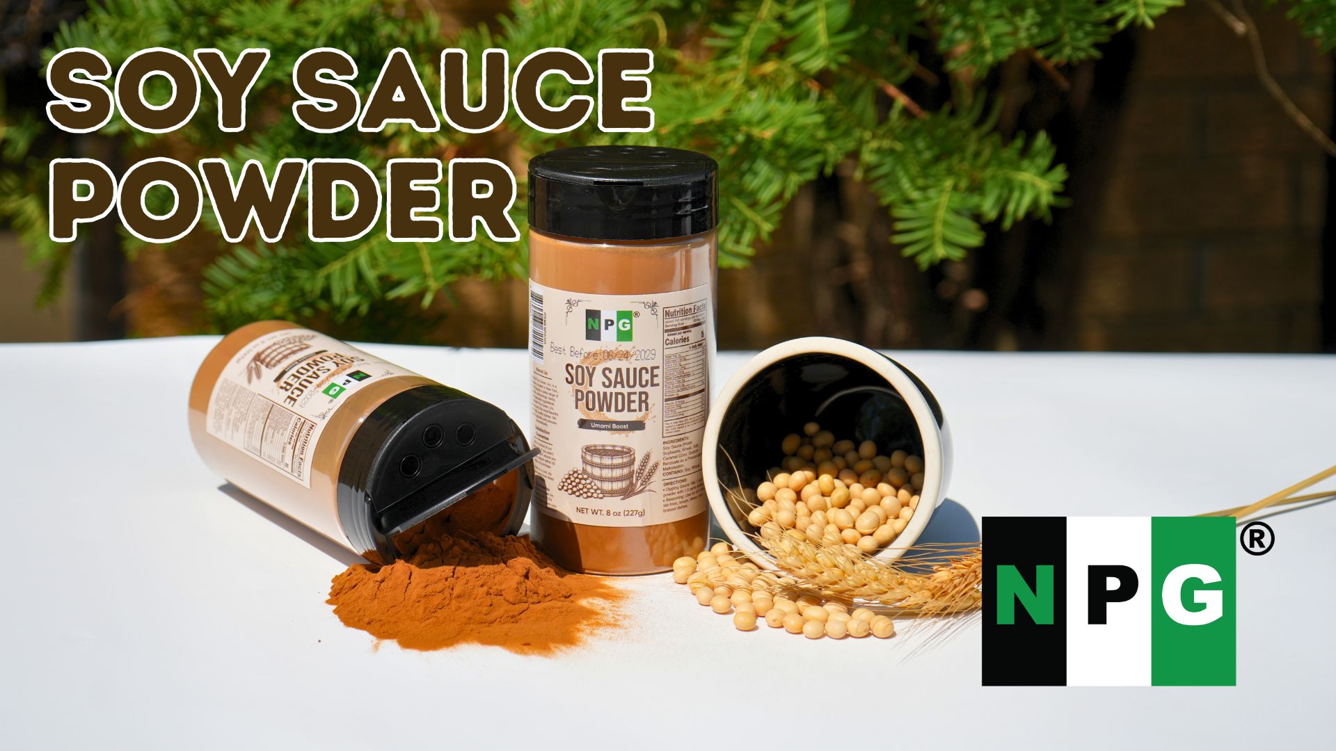 Stirring Powder NPG Soy Sauce Powder 8 oz, Savory Umami Seasoning for Cooking ...