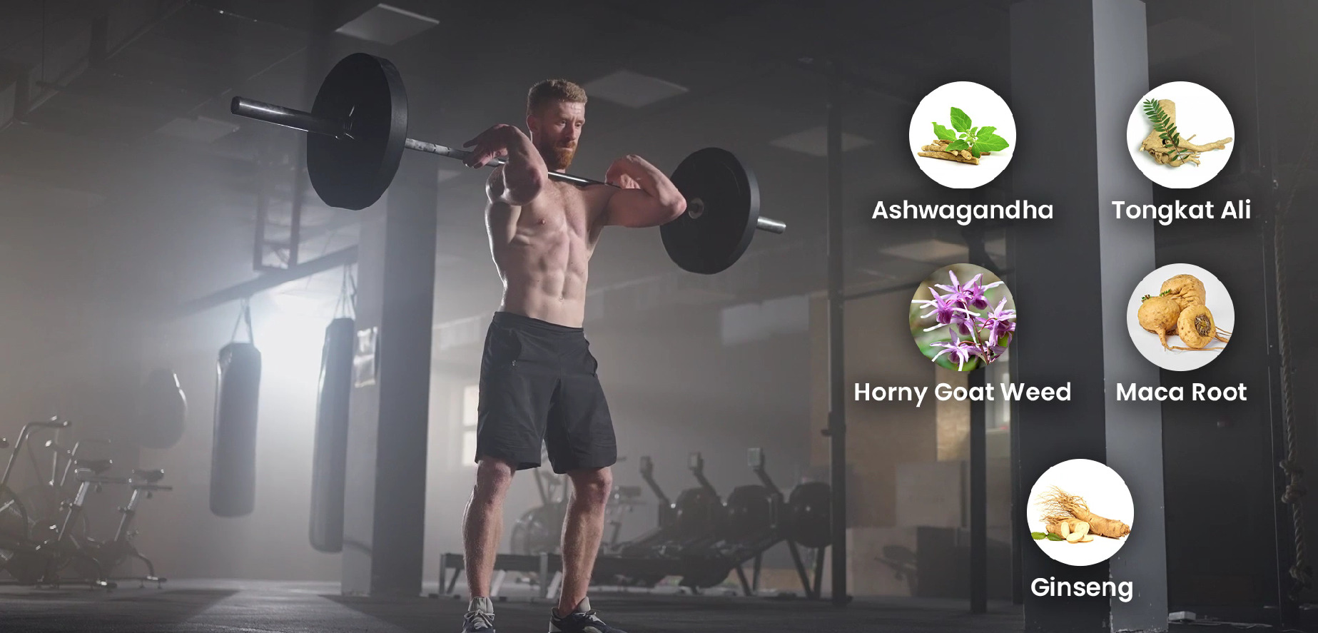 thumbnail video image 3 of Coretribe Royal Shilajit Sea Moss Stamina Supplement with Ashwagandha, Tongkat Ali 400mg, Maca Root, Ginseng, Libido & Testosterone Booster for Energy Support (120 Capsules), 3 of 9