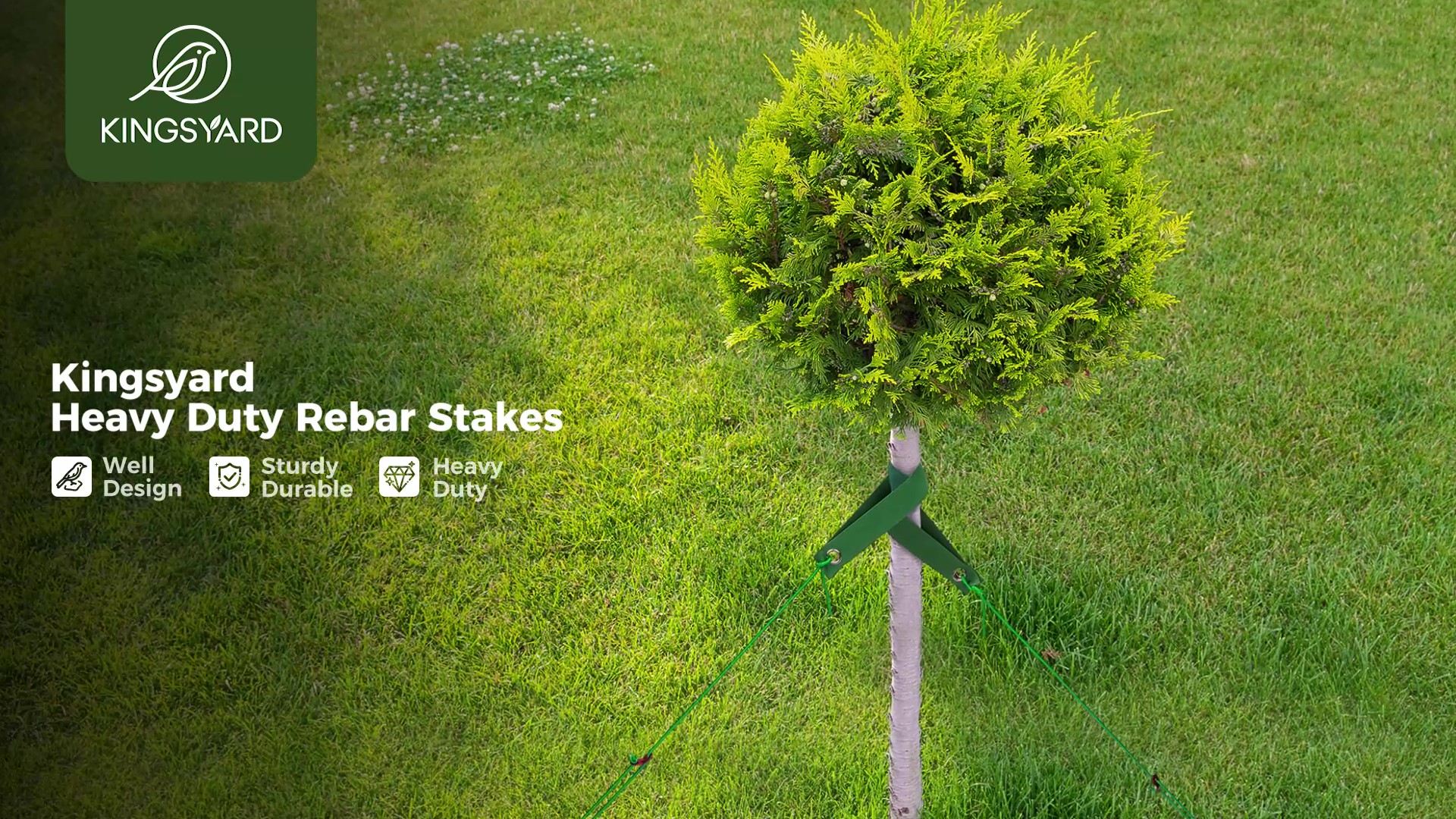 thumbnail video image 2 of Kingsyard 3pcs 12″ Heavy Duty Steel Tree Stakes with 3 Straps and 3pcs 13′ Anchor Ropes, 2 of 7