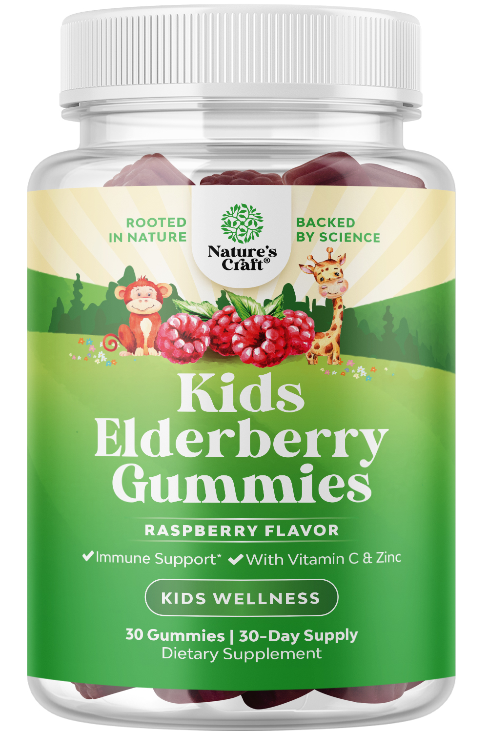 thumbnail video image 3 of Kids Elderberry Gummies with Zinc and Vitamin C - Delicious Sambucus Black Elderberry Gummies for Kids Immune Support - Daily Immunity Support Vegan Non-GMO Gluten and Gelatin Free - 30 Count, 3 of 9