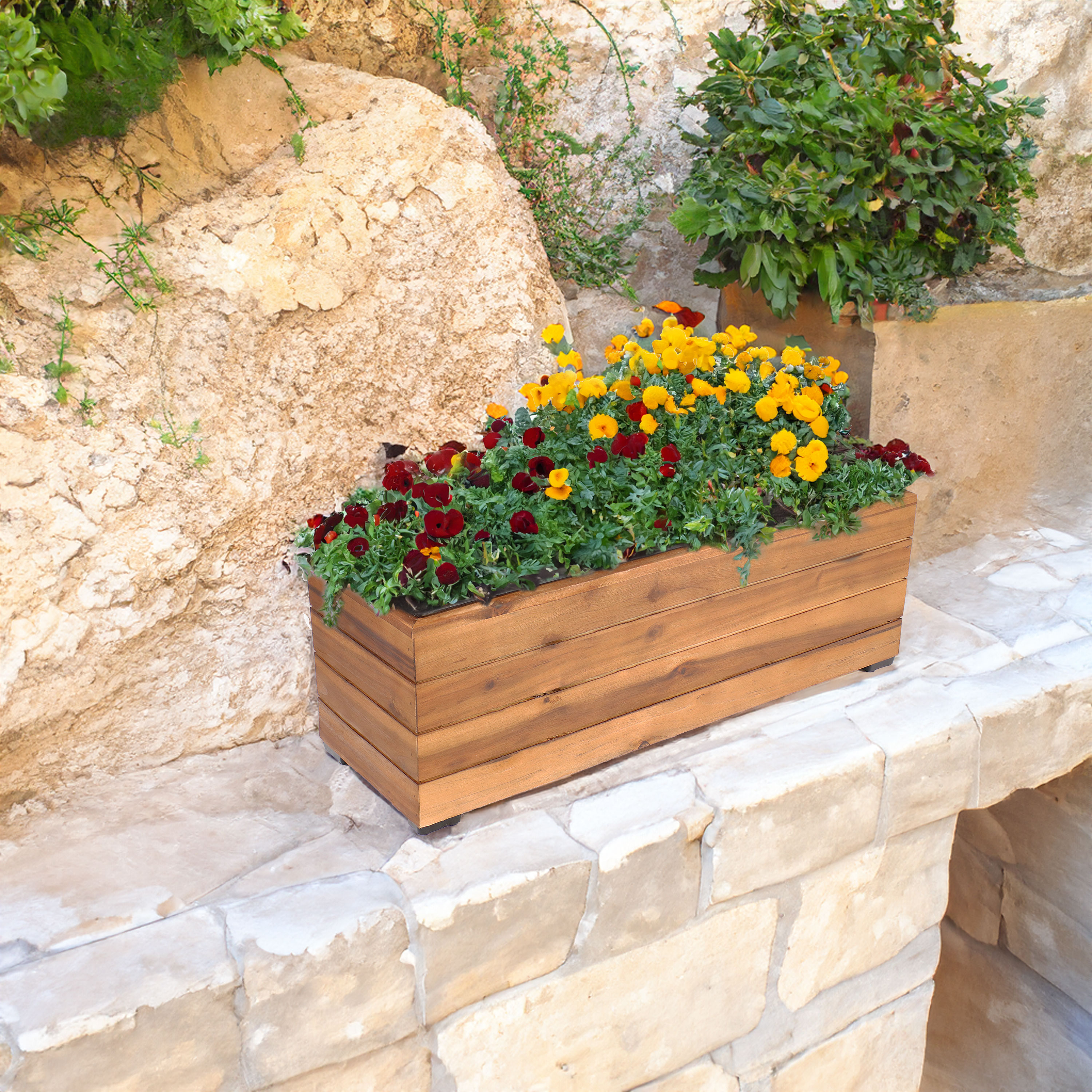 Buy Potted ZZ Plant Indoor Plant | Bloomscape