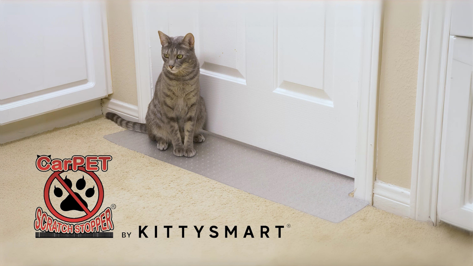 KittySmart Carpet Scratch Stopper Stop Cats from Scratching Carpet at Doorway Instantly CSS 28 fits doors 27 1 2 27 15 16 in width