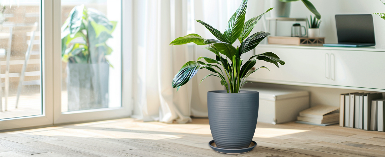 thumbnail video image 2 of 10 inch Ceramic Planter Pot, Large Round Plant Pots with Saucer, Modern Textured Pot for Indoor Plants for Christmas & Holiday Decor, Matte Gray, 2 of 7