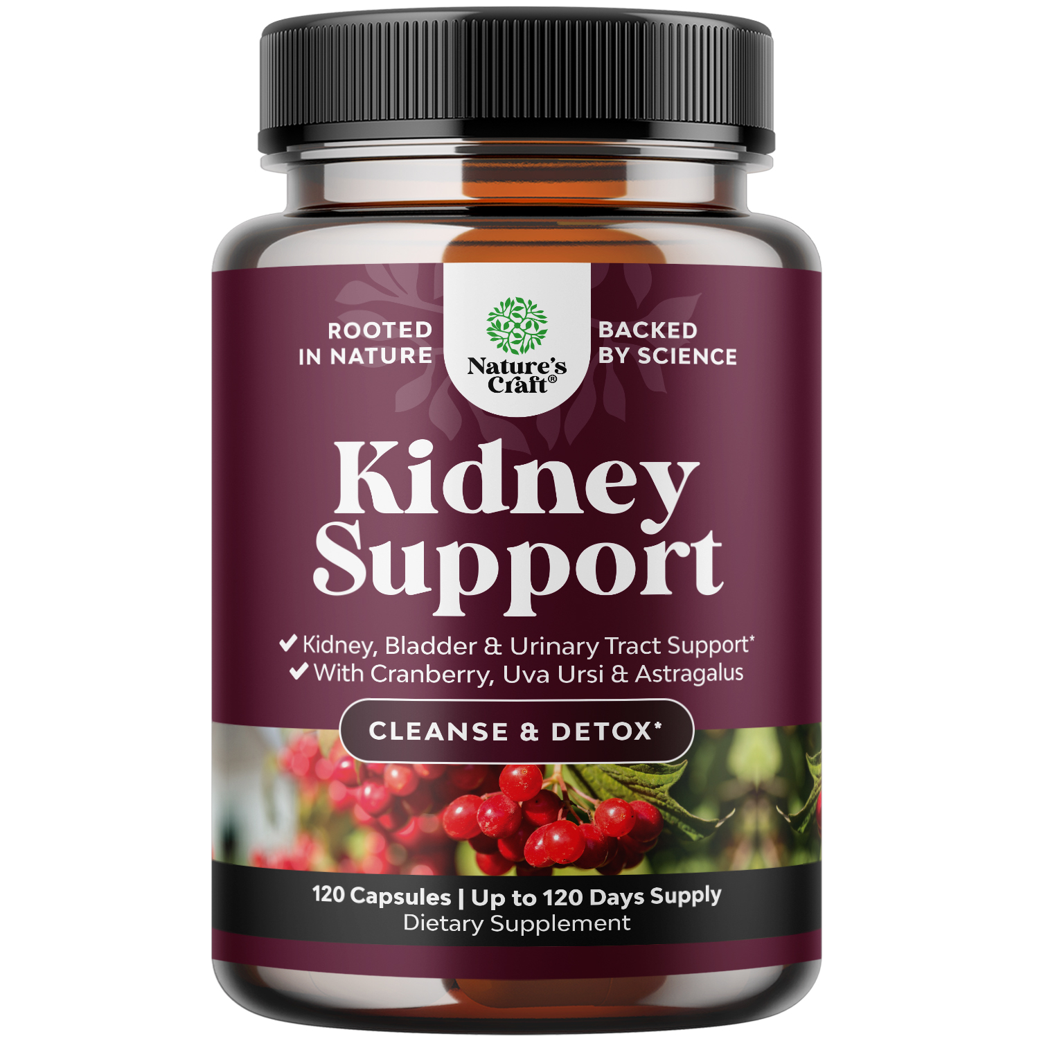 thumbnail video image 2 of Kidney Support Cranberry Supplement for Women and Men - High Strength Kidney Cleanse Detox & Repair Formula with Stinging Nettle and Astragalus for Kidney and Bladder Health - Non-GMO Halal and Vegan, 2 of 9