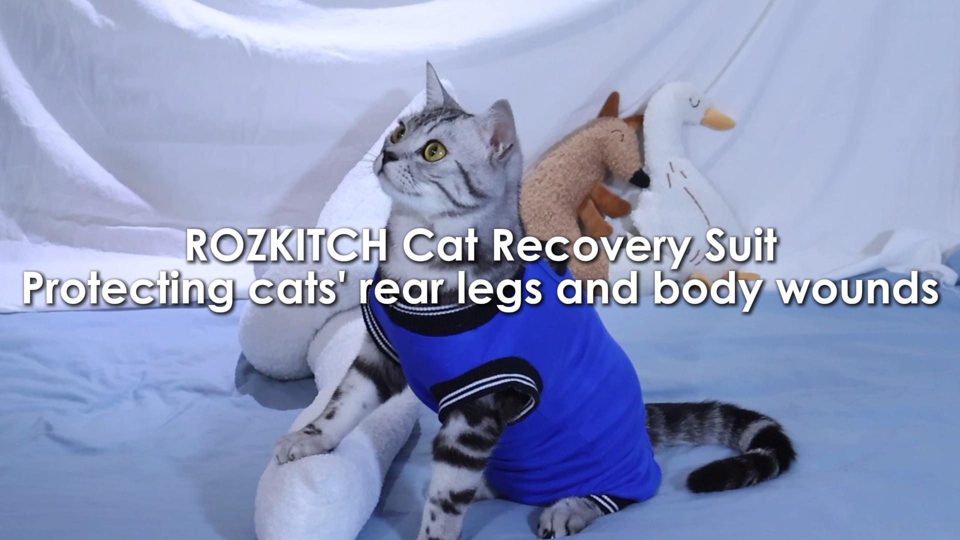 thumbnail video image 2 of ROZKITCH Cat Recovery Suit, Elastic Cat Onesie after Surgery, Rear Leg and Abdomen Wound Protection, Cat Cone Collar Alternative, Blue, L, 2 of 8