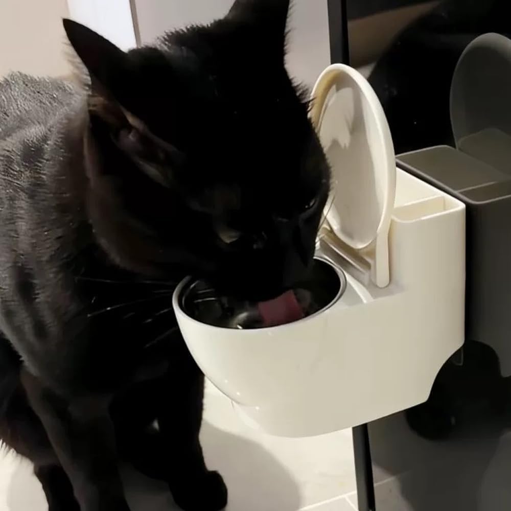 thumbnail video image 2 of Wall-Mounted Toilet Water Bowl for Cats, Whisker-friendly and comfortable shape,Novelty Raised Non-Spill Food and Water Dish with Stainless Steel Bowl and Dust Cover for Small Cats, 2 of 7