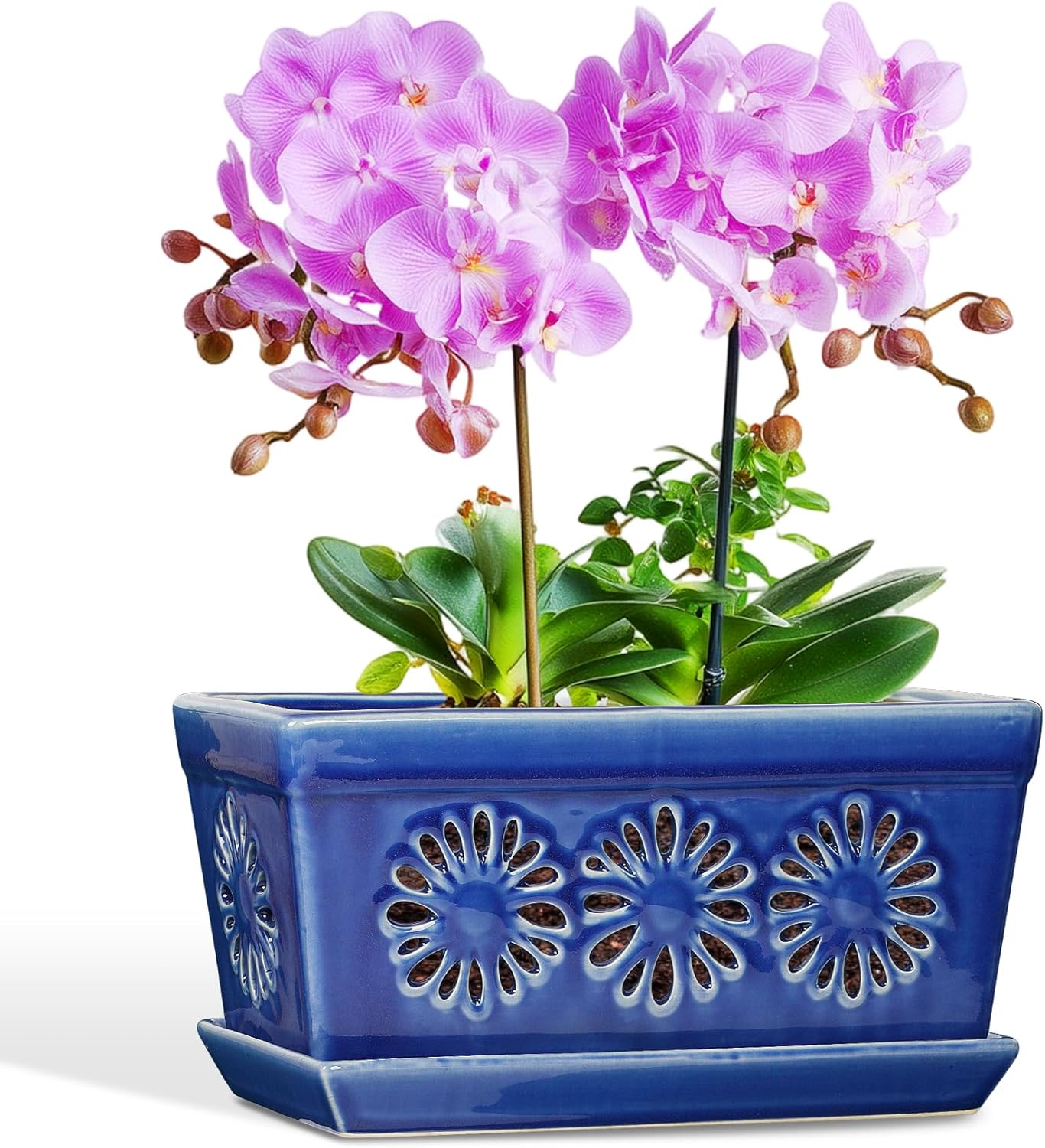 thumbnail video image 2 of EFISPSS 10 Inch Blue Floral Ceramic Orchid Planter with Cutouts, Rectangular Window Box Slotted Pot with Saucer for Better Root Health, Decorative Indoor Herb and Flower Planter, 2 of 8